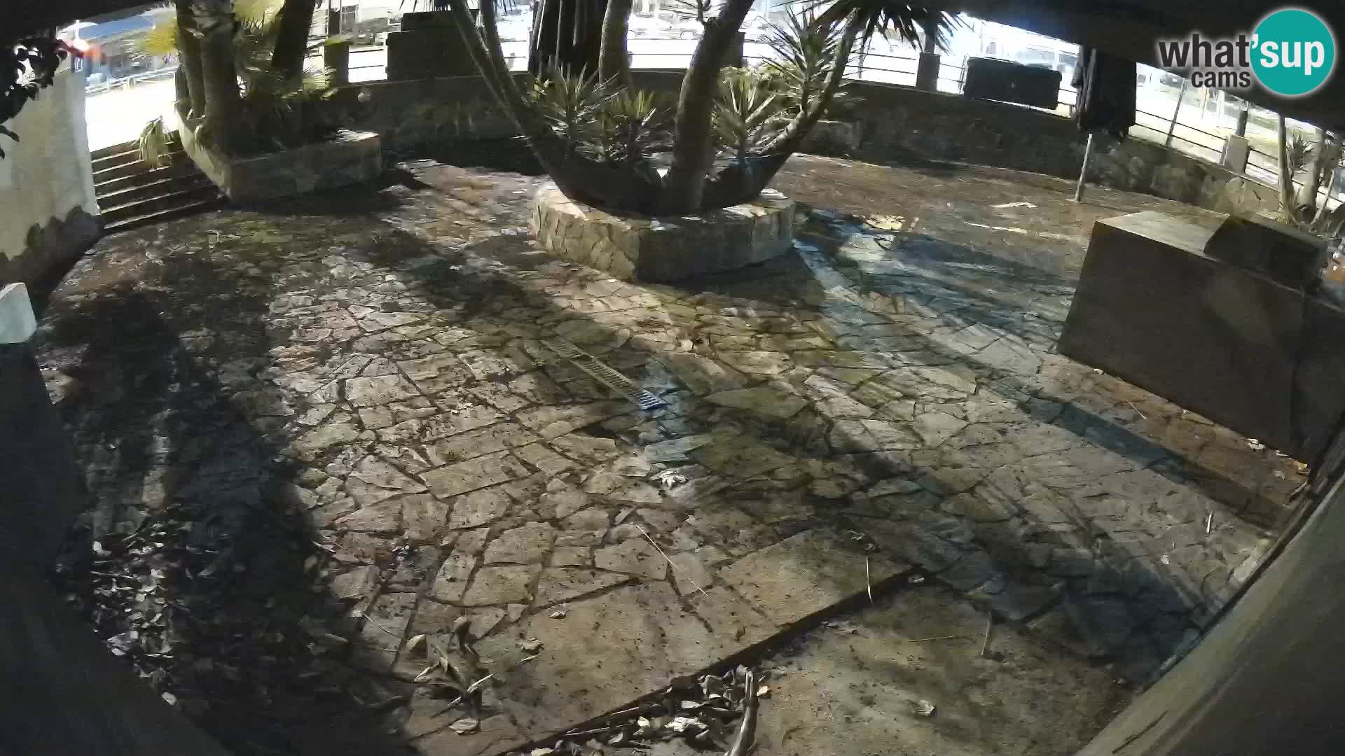 Lloret de Mar – Dr. Döner