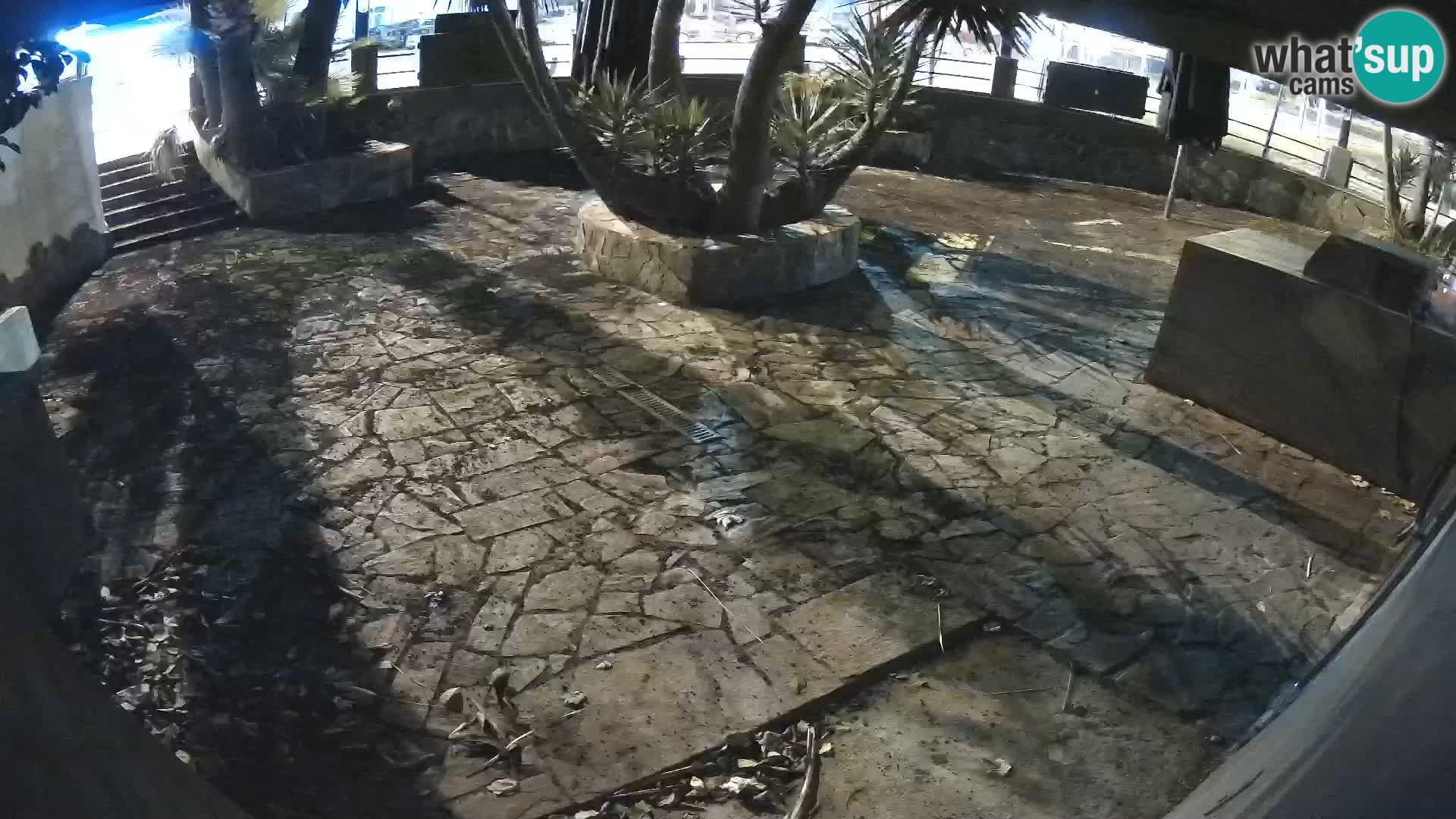 Lloret de Mar – Dr. Döner