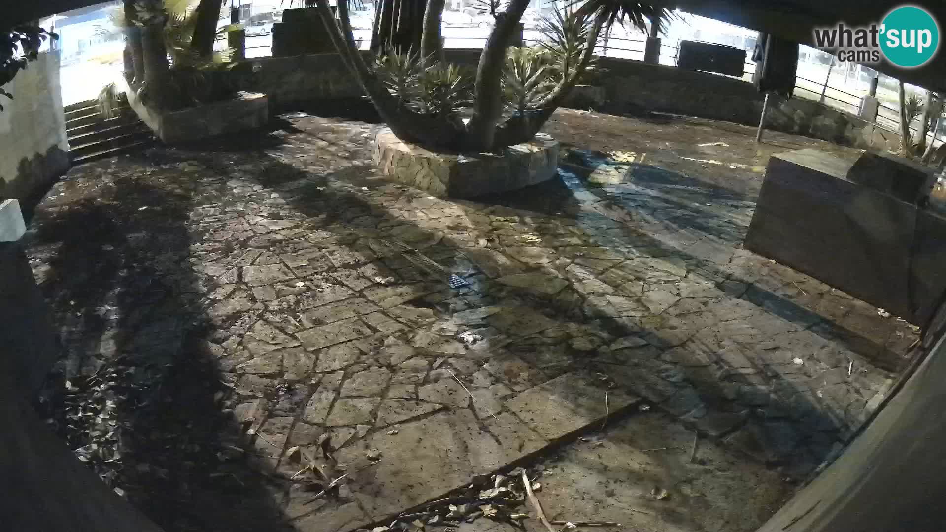 Lloret de Mar – Dr. Döner