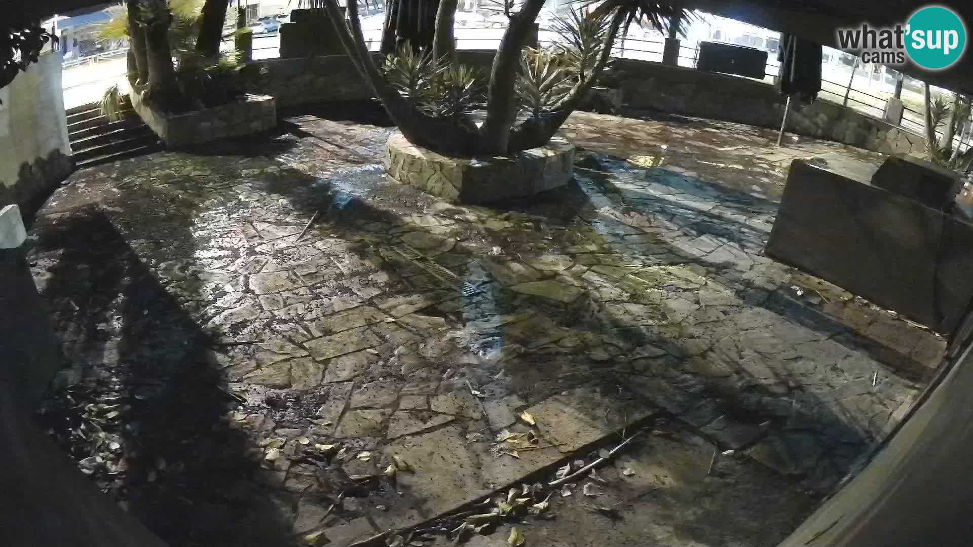 Lloret de Mar – Dr. Döner