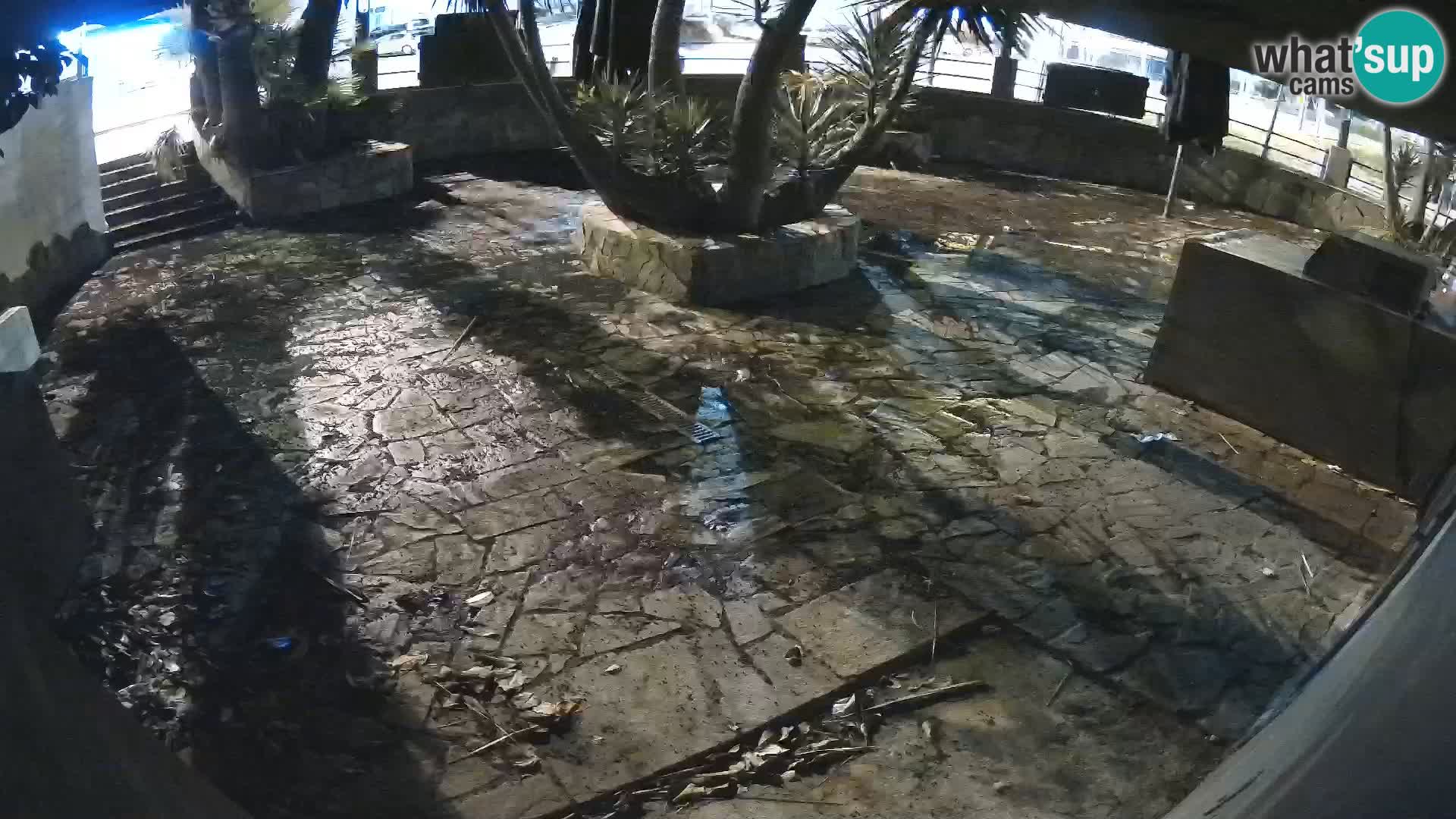 Lloret de Mar – Dr. Döner