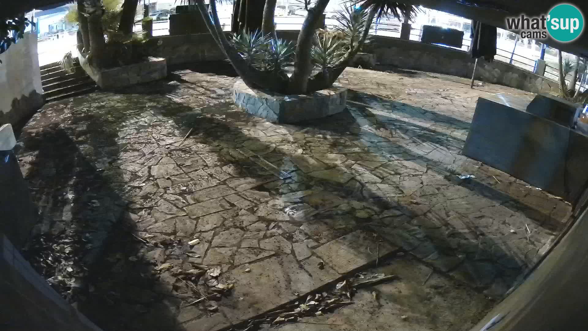 Lloret de Mar – Dr. Döner