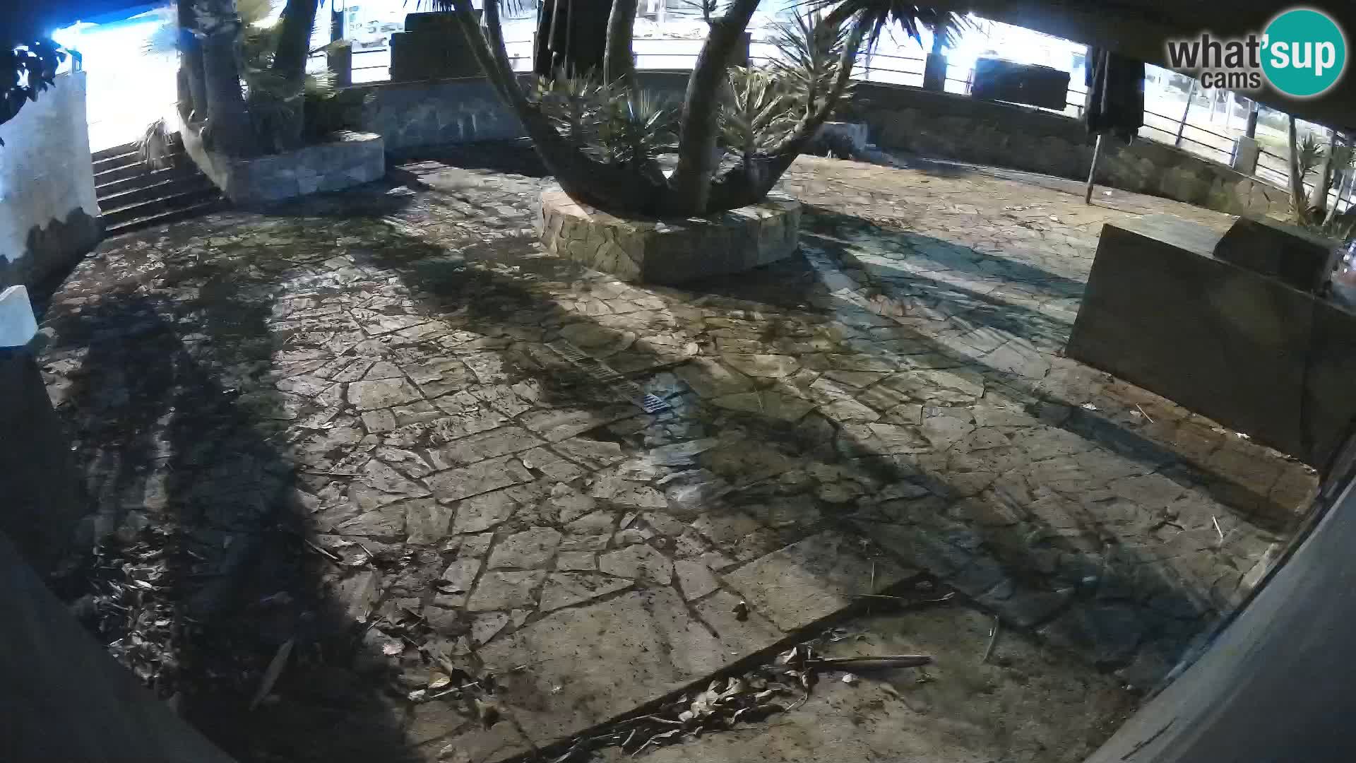 Lloret de Mar – Dr. Döner