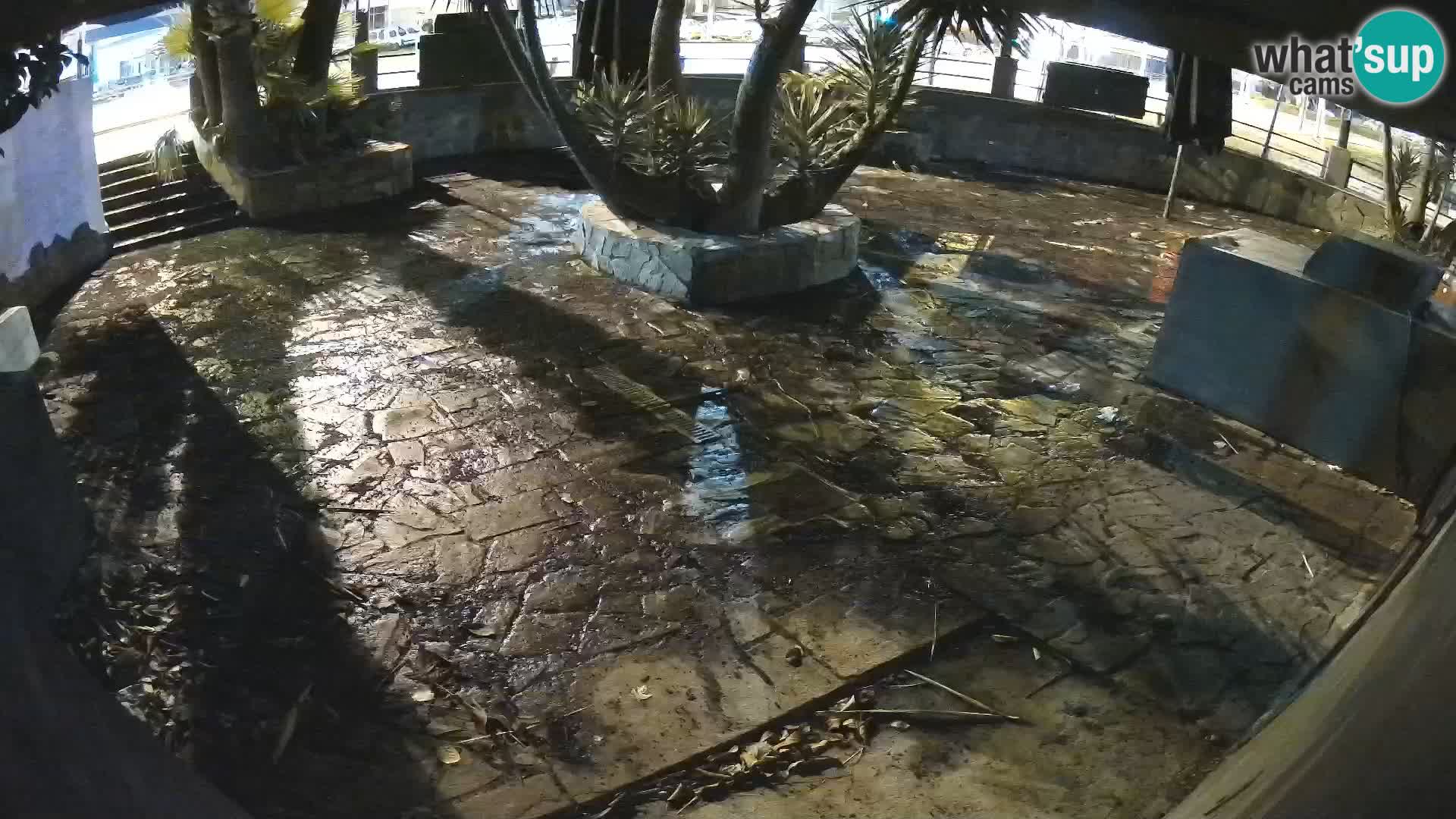 Lloret de Mar – Dr. Döner