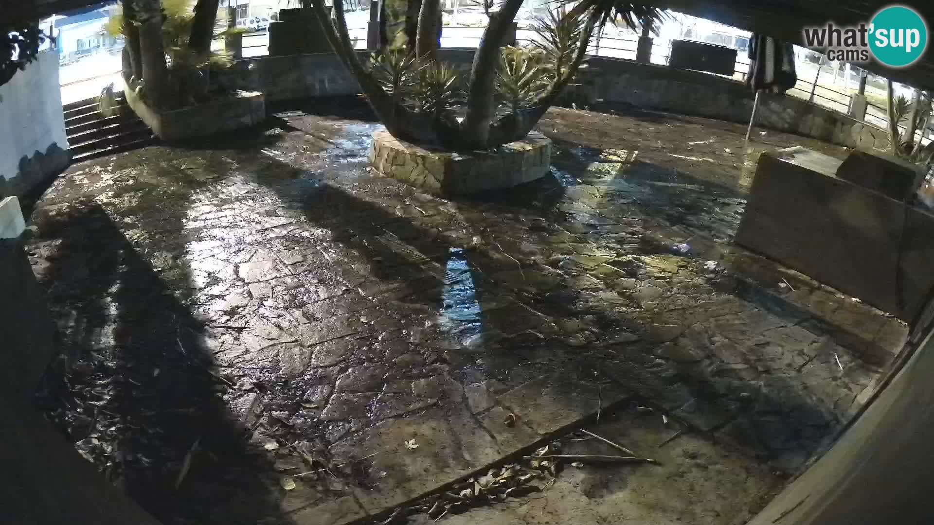 Lloret de Mar – Dr. Döner