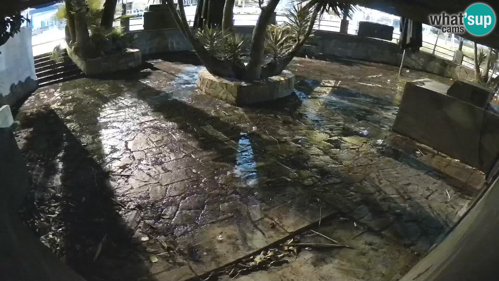 Lloret de Mar – Dr. Döner