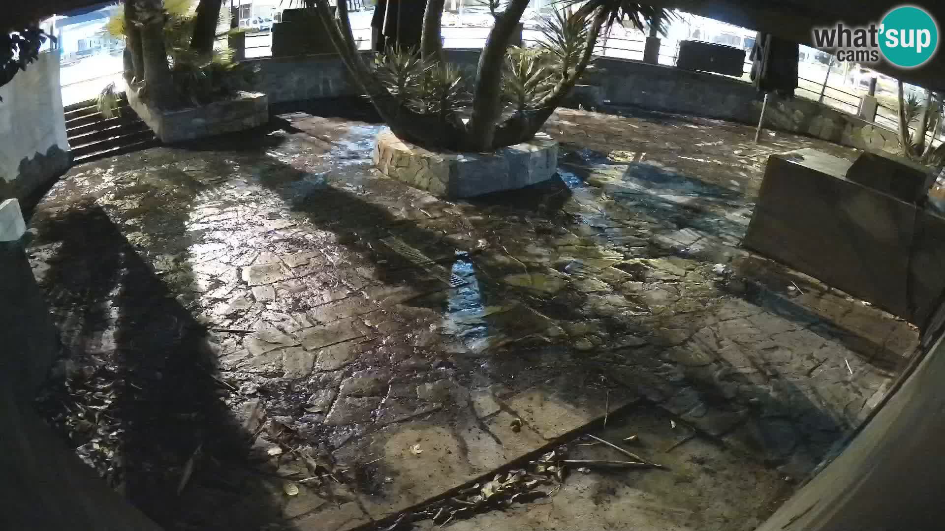 Lloret de Mar – Dr. Döner