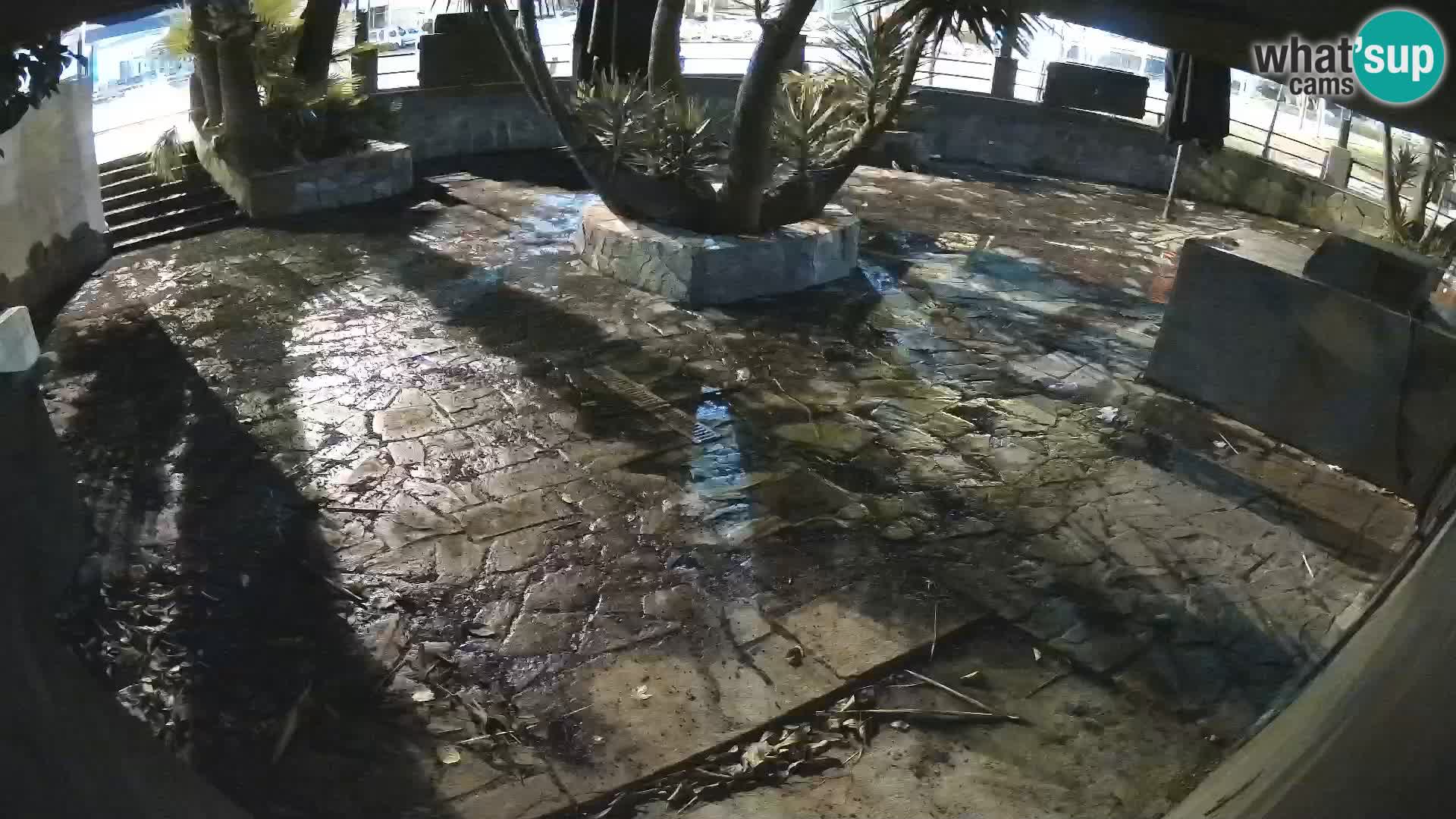 Lloret de Mar – Dr. Döner