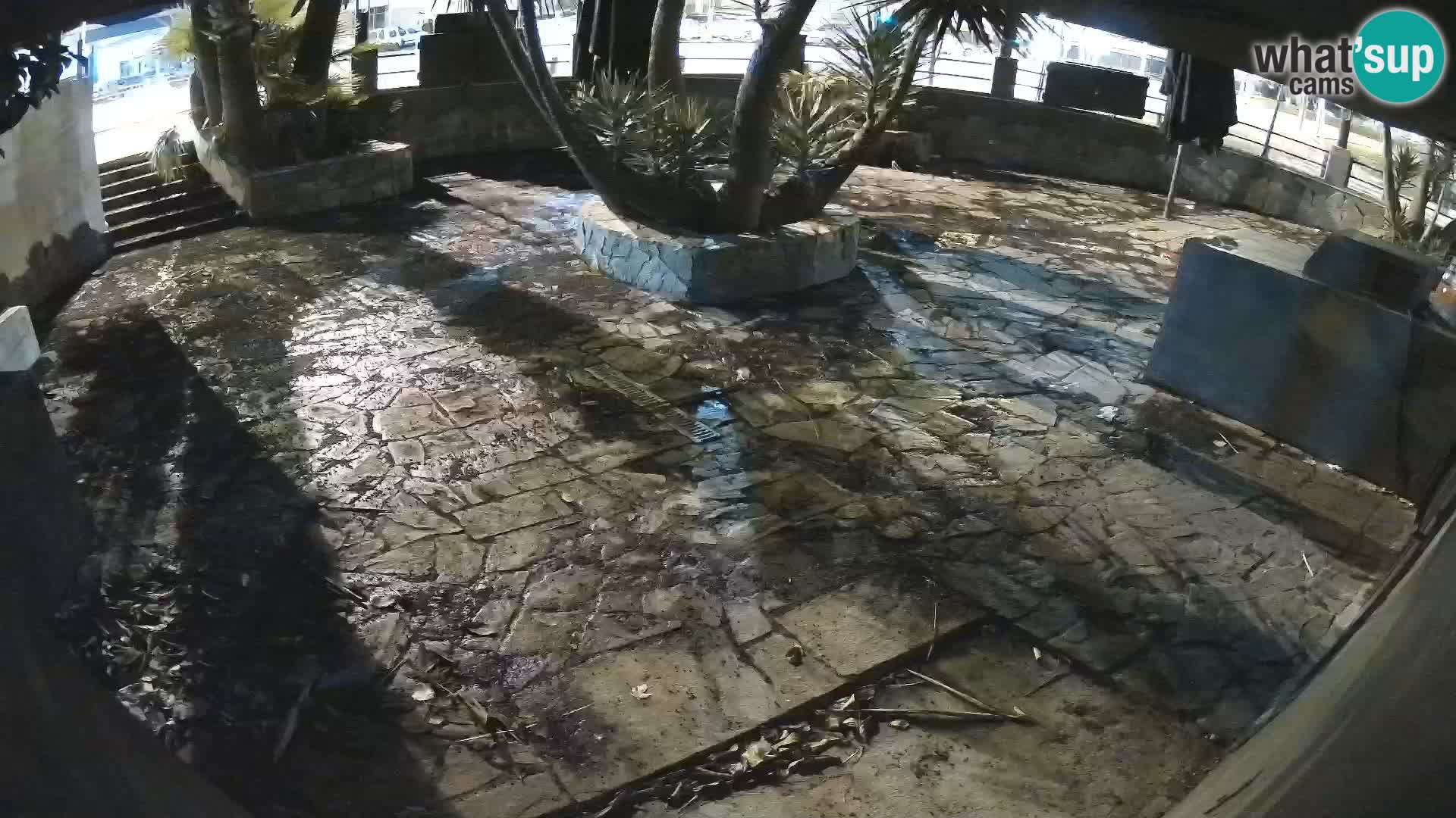 Lloret de Mar – Dr. Döner