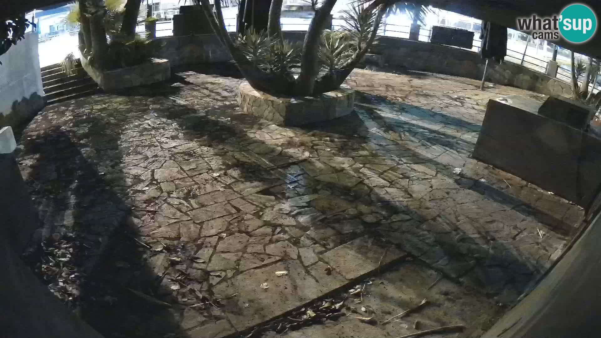 Lloret de Mar – Dr. Döner