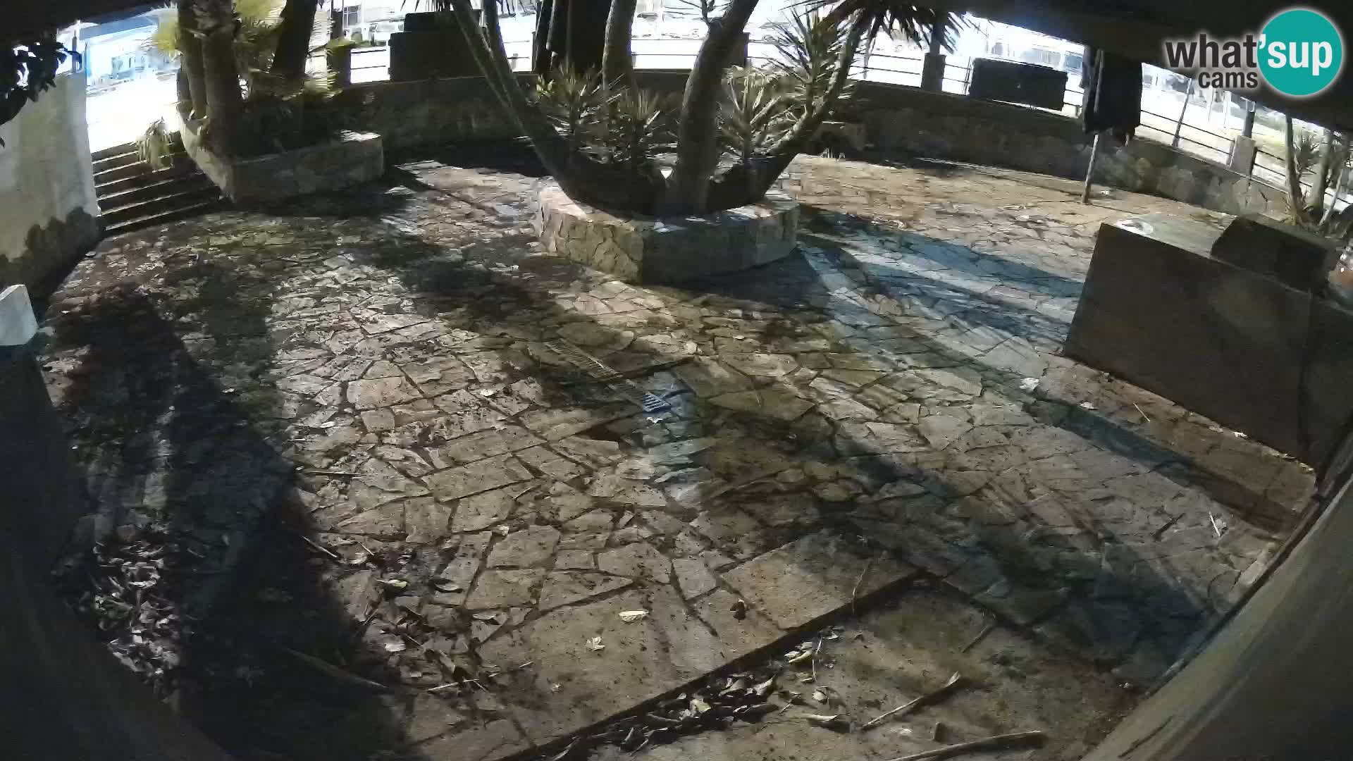 Lloret de Mar – Dr. Döner