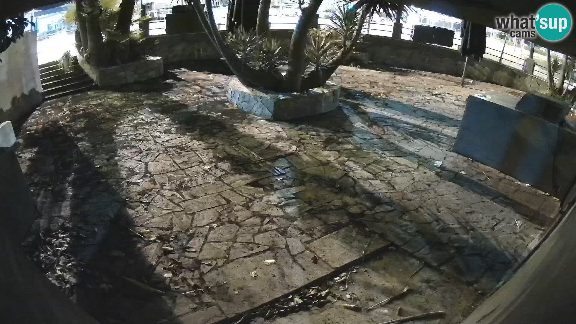 Lloret de Mar – Dr. Döner