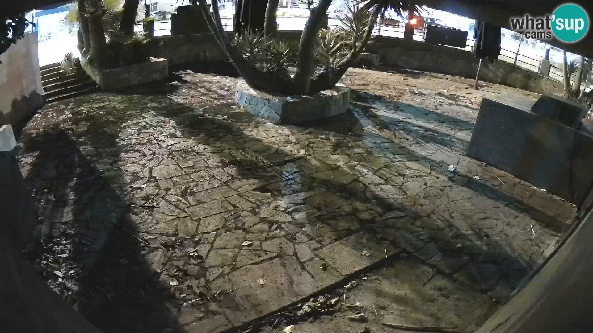 Lloret de Mar – Dr. Döner