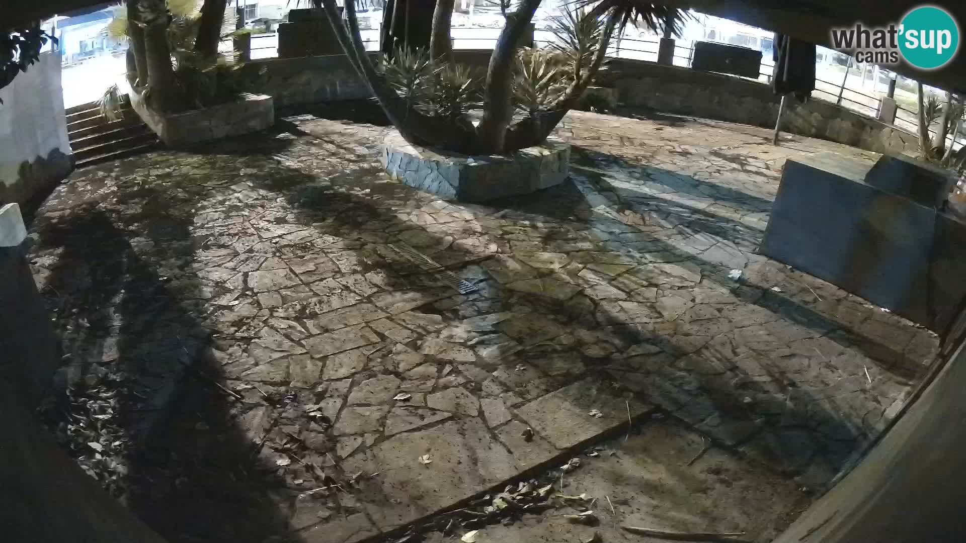 Lloret de Mar – Dr. Döner