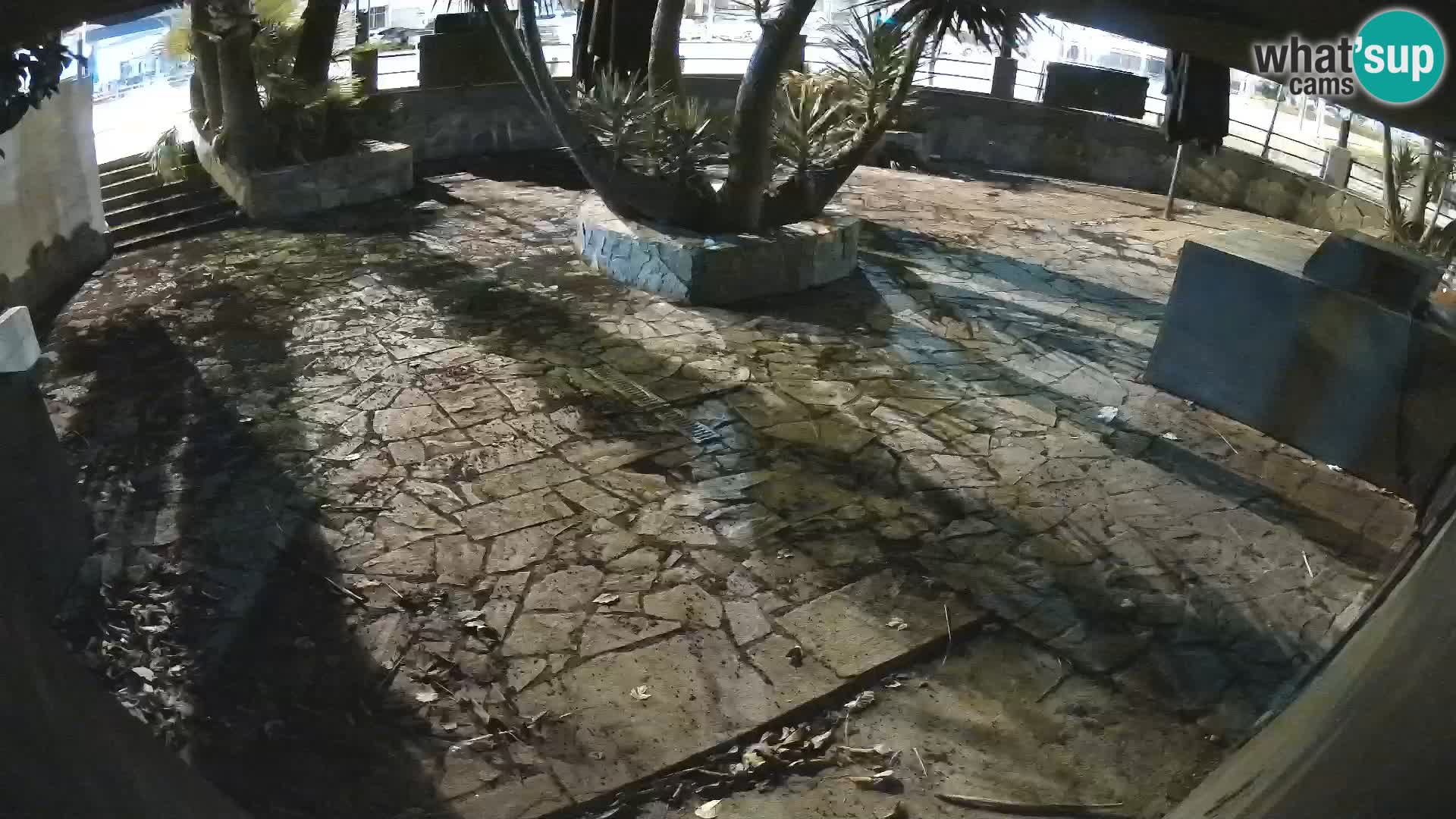 Lloret de Mar – Dr. Döner