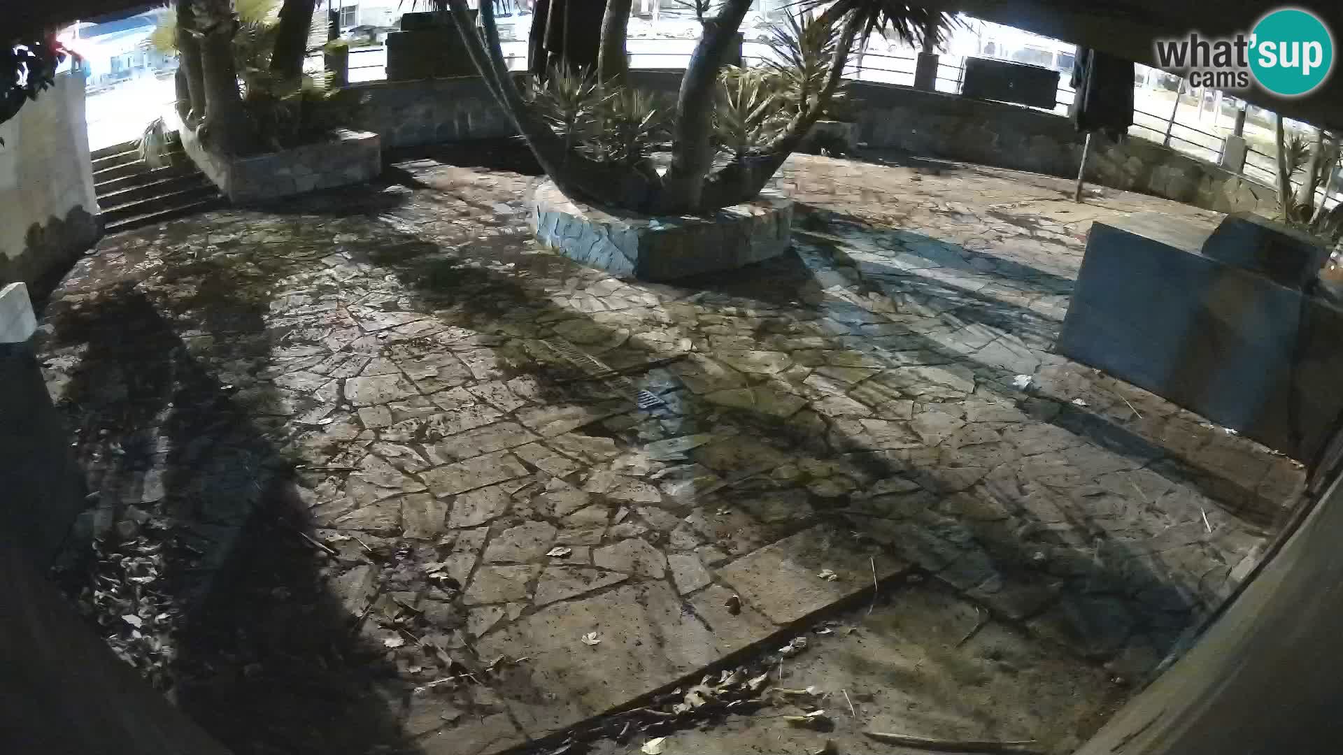 Lloret de Mar – Dr. Döner