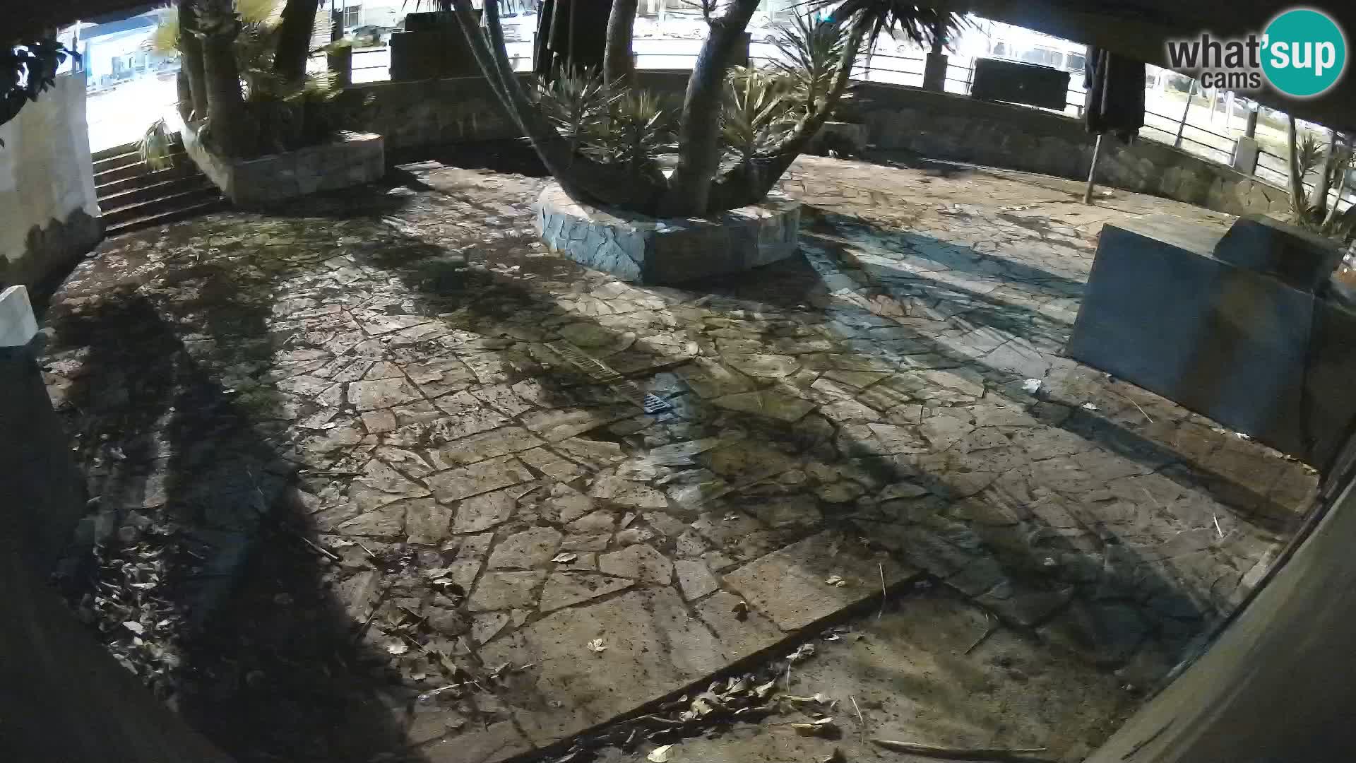 Lloret de Mar – Dr. Döner