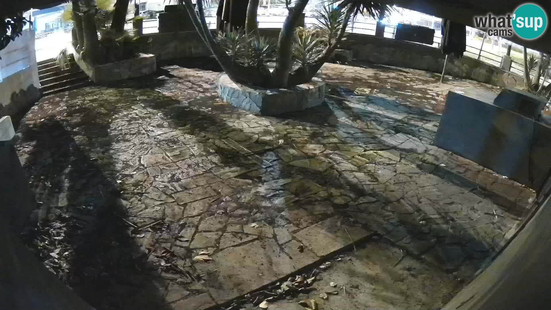 Lloret de Mar – Dr. Döner