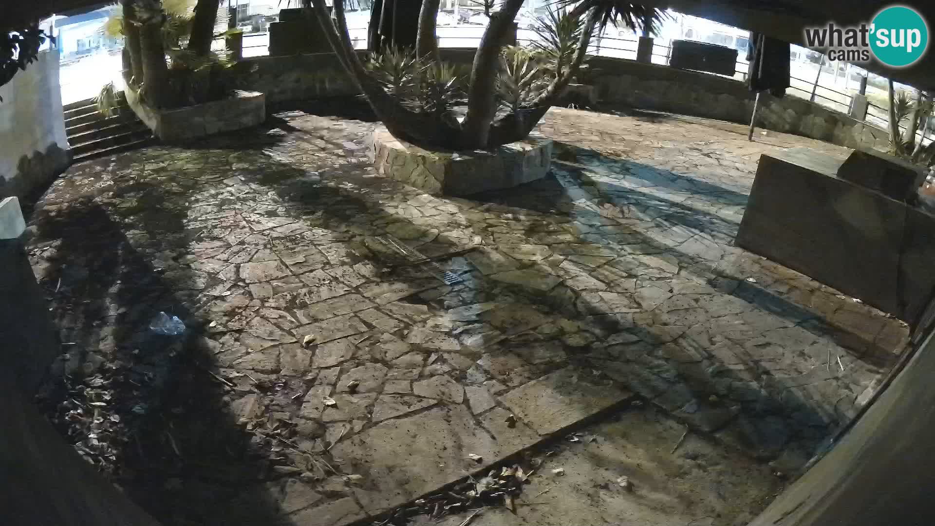 Lloret de Mar – Dr. Döner