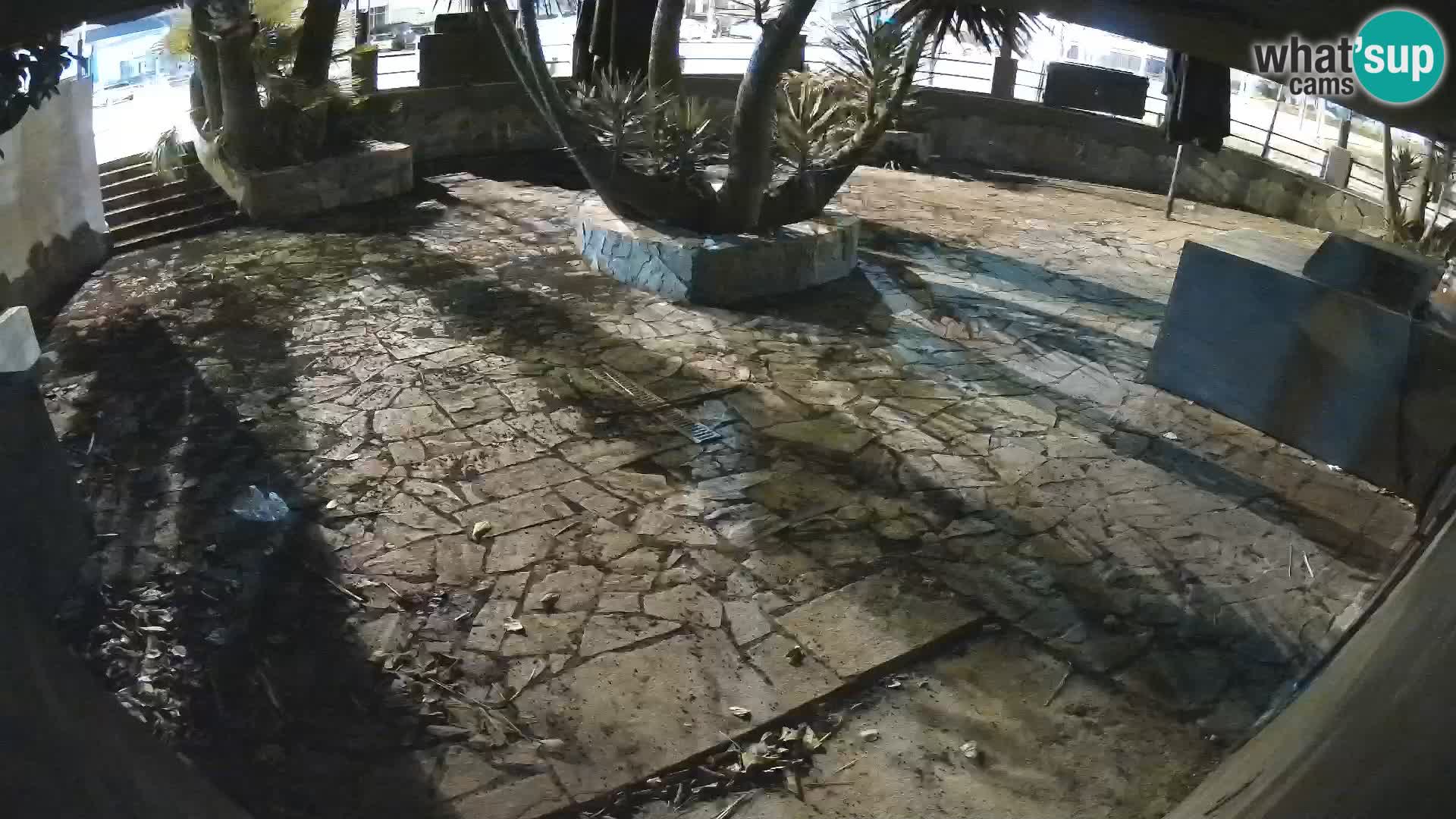 Lloret de Mar – Dr. Döner