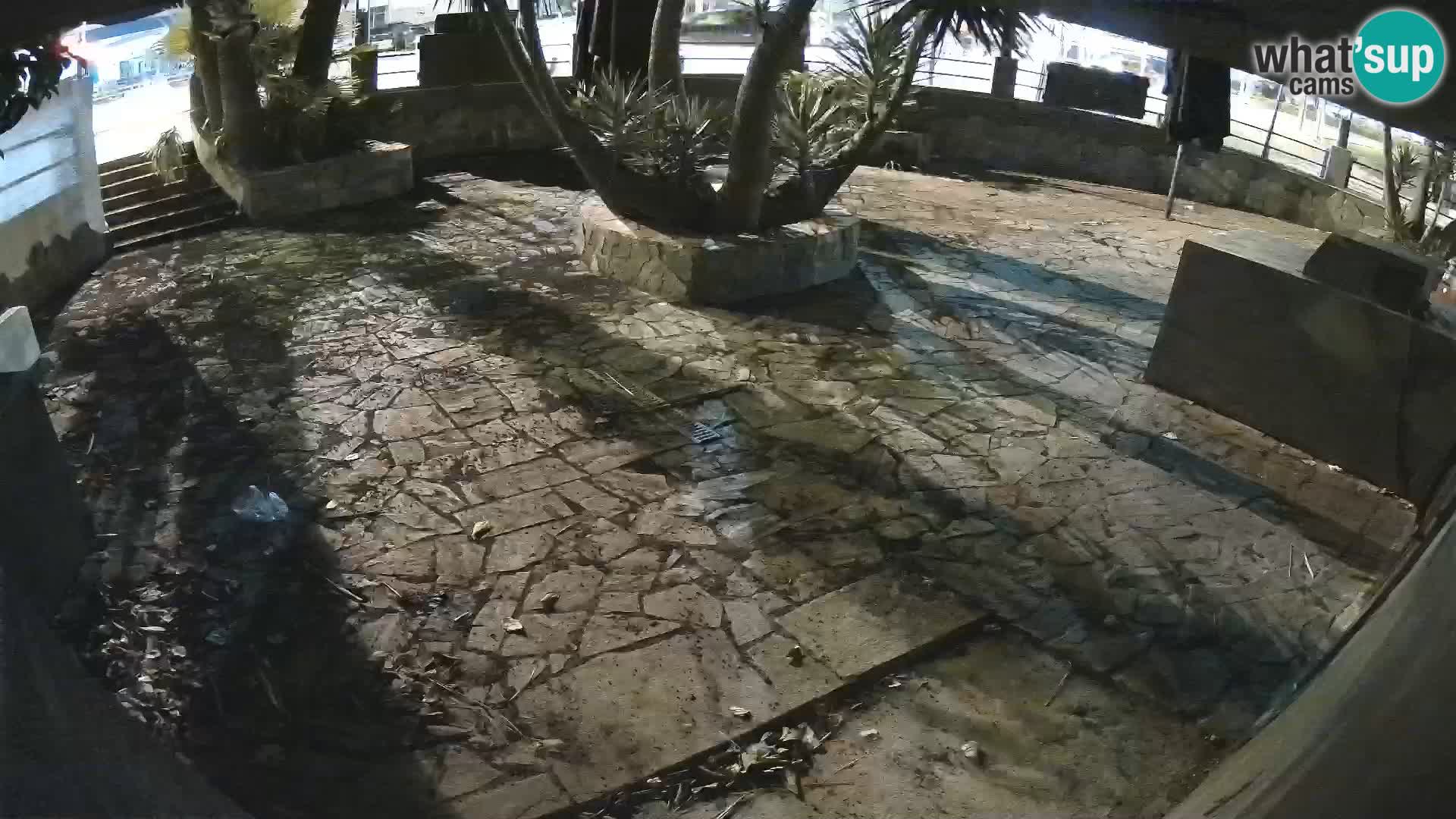 Lloret de Mar – Dr. Döner