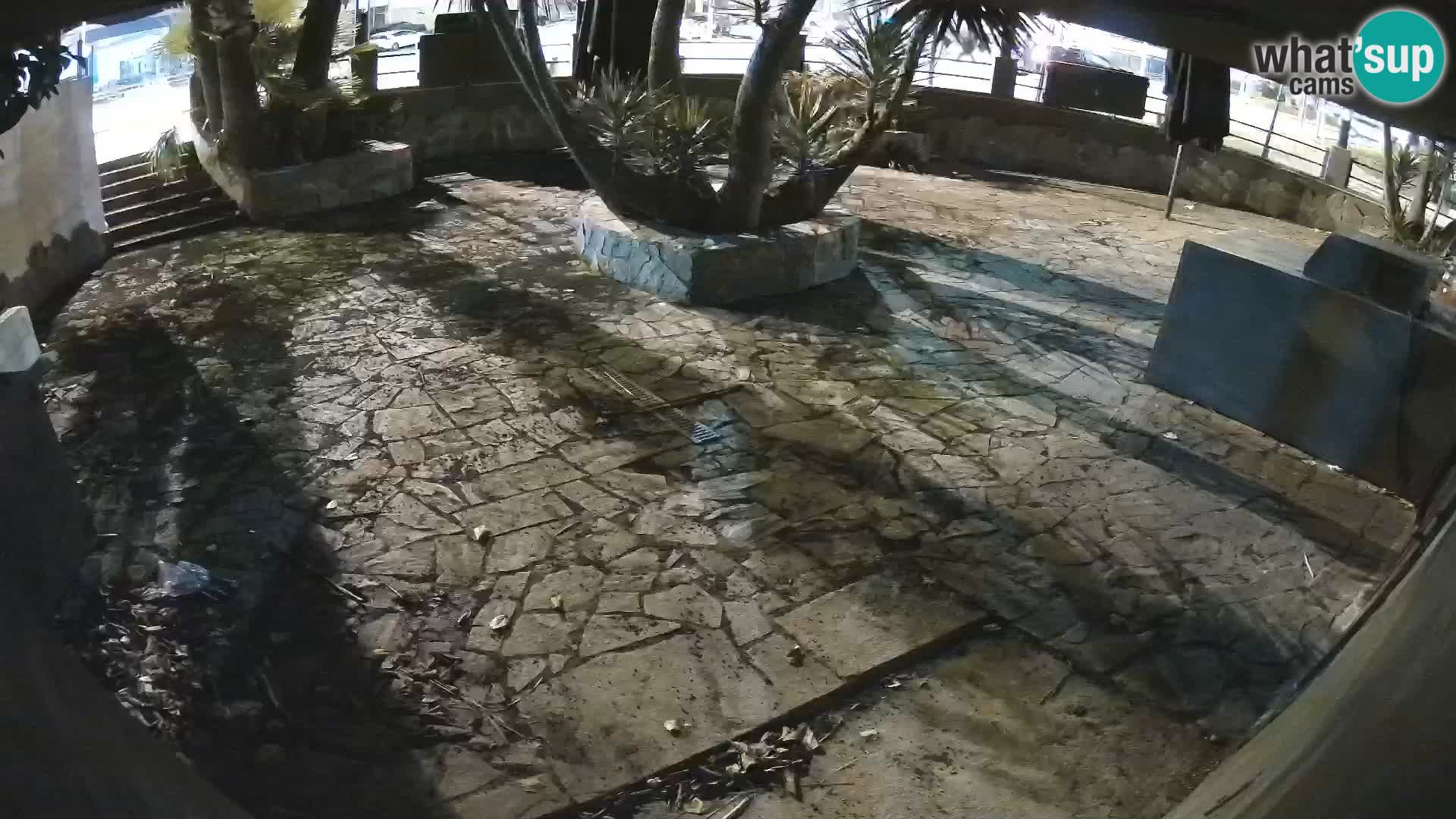 Lloret de Mar – Dr. Döner