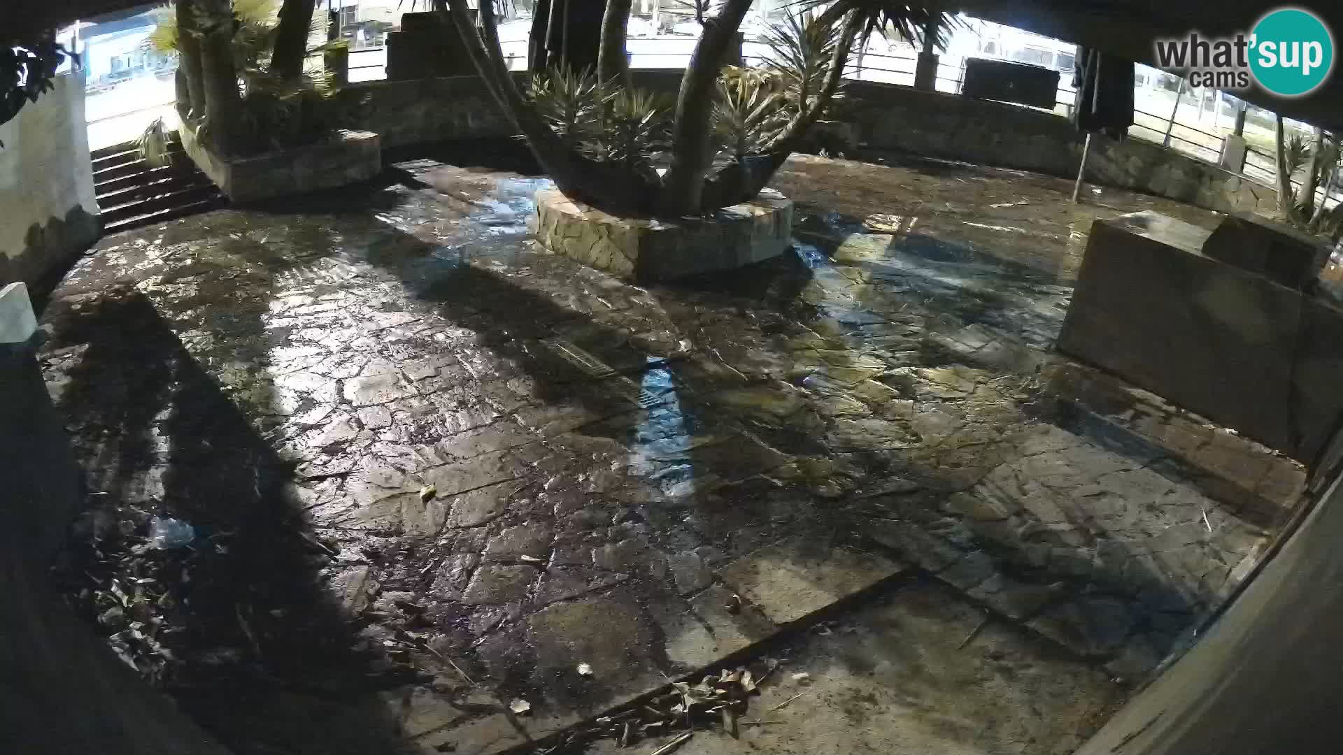 Lloret de Mar – Dr. Döner