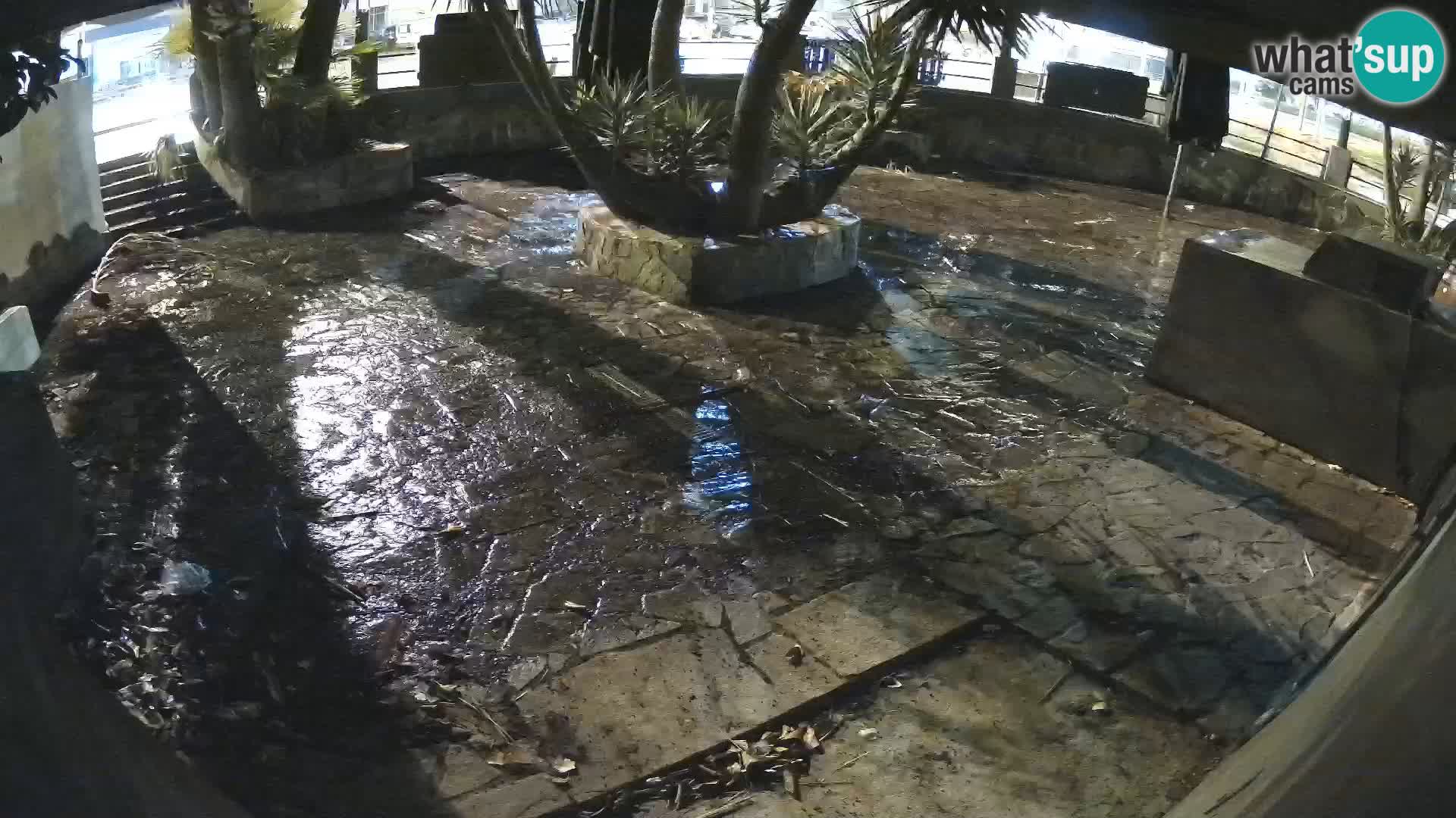 Lloret de Mar – Dr. Döner