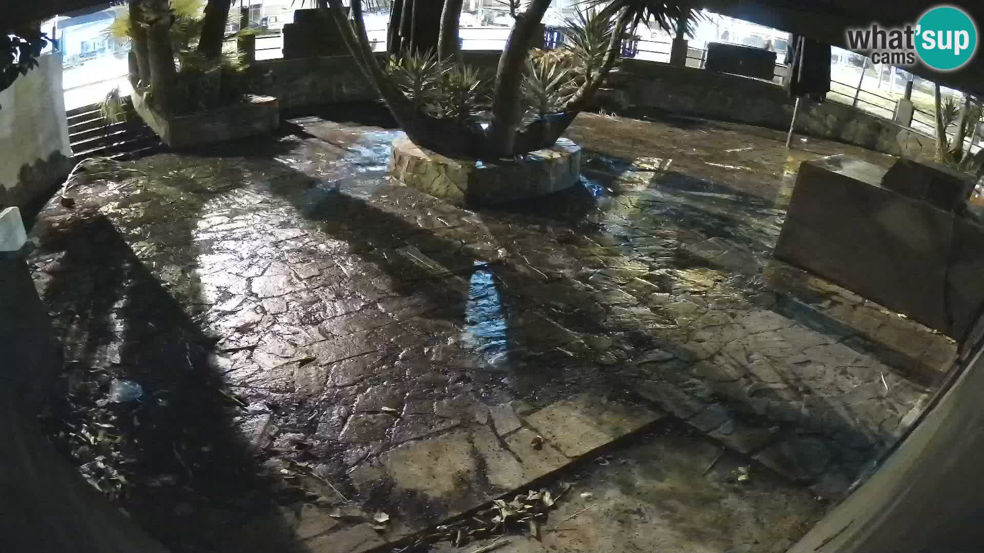 Lloret de Mar – Dr. Döner