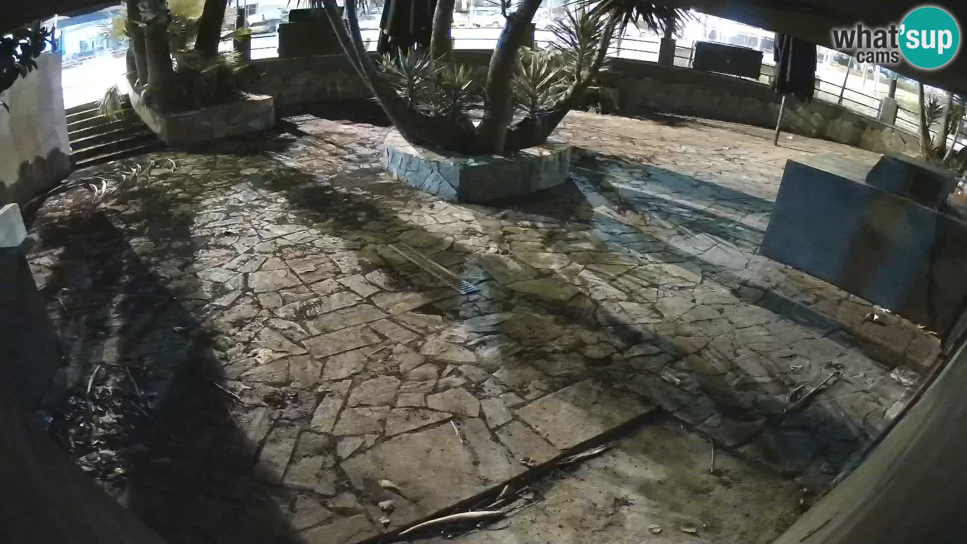 Lloret de Mar – Dr. Döner