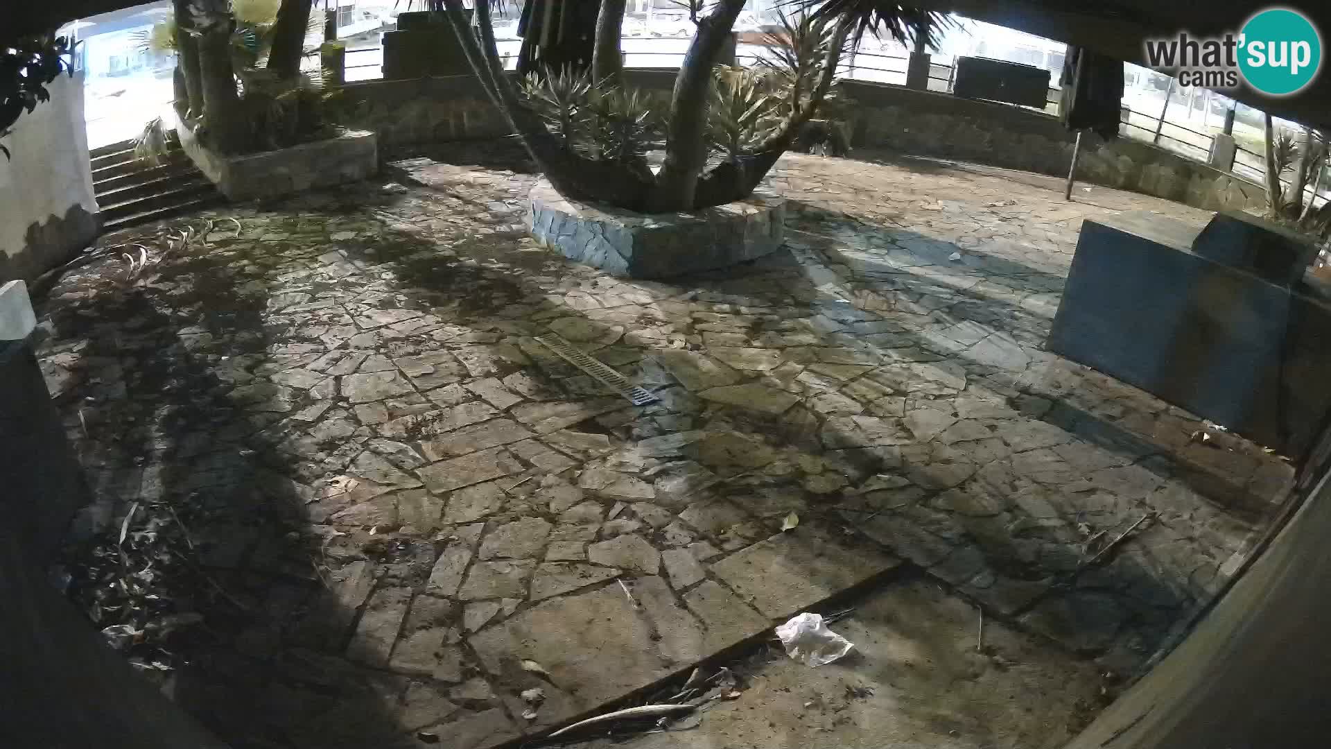 Lloret de Mar – Dr. Döner