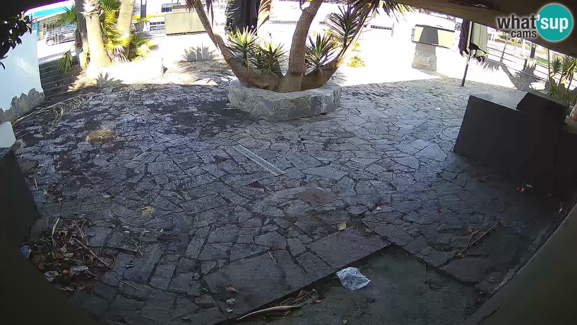 Lloret de Mar – Dr. Döner