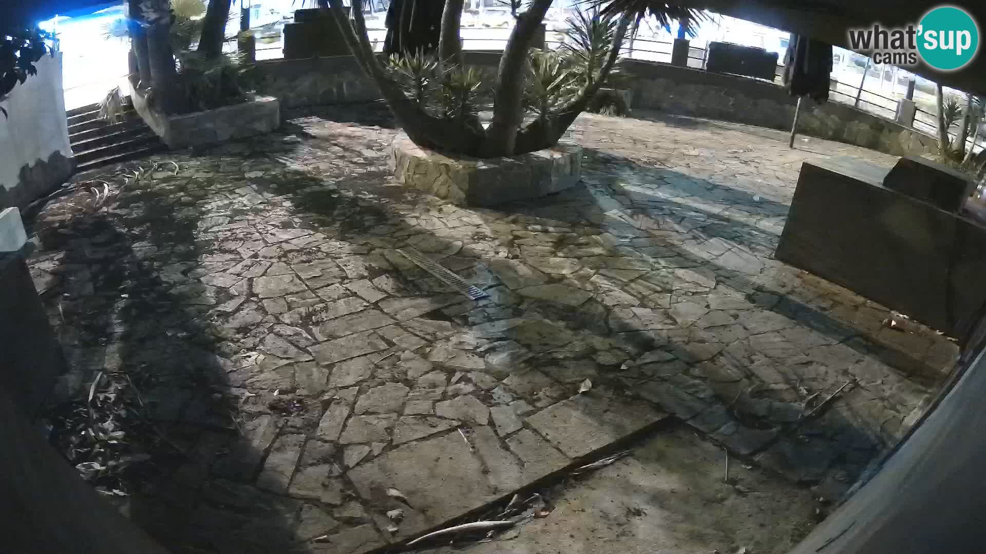 Lloret de Mar – Dr. Döner