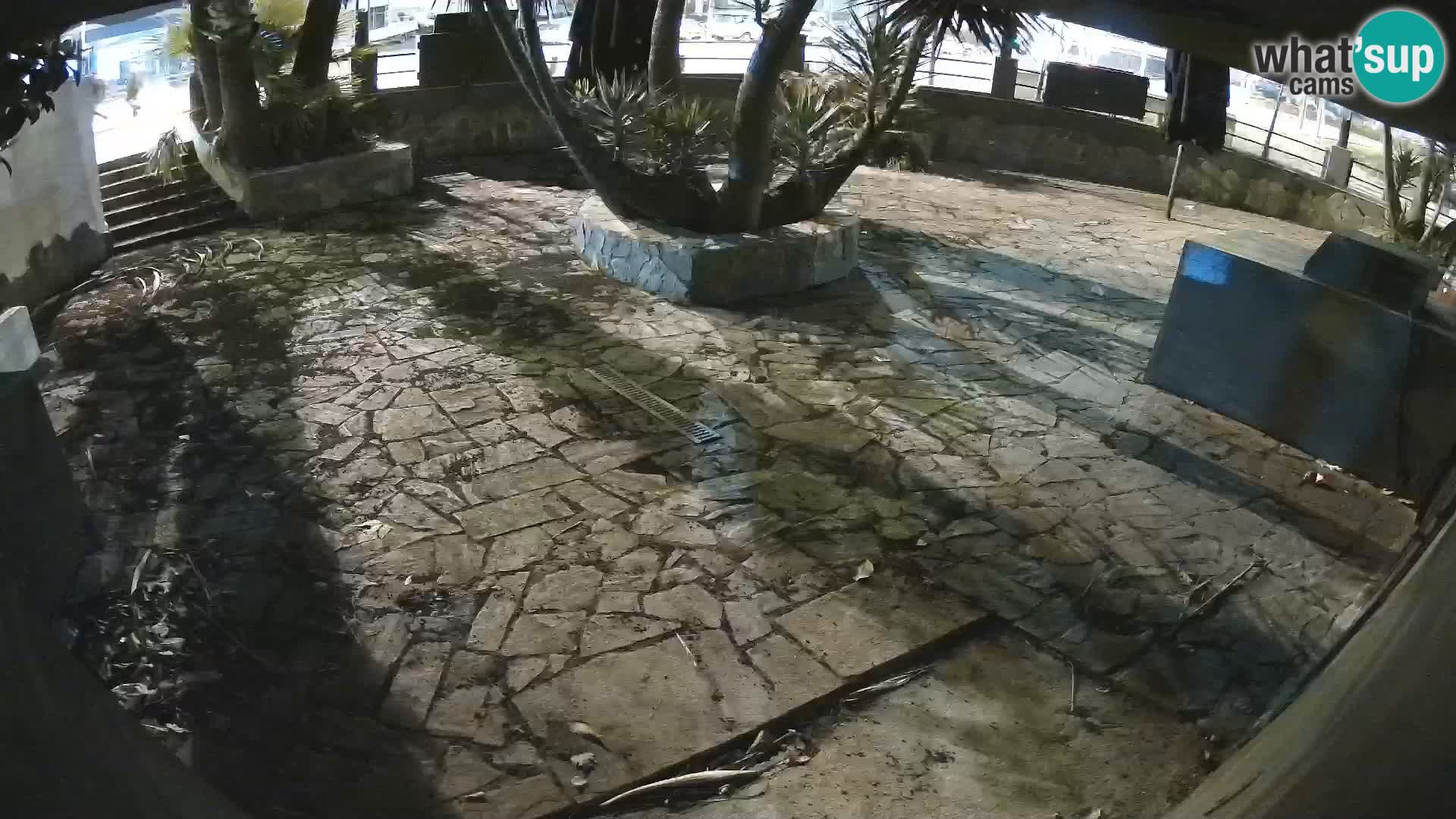 Lloret de Mar – Dr. Döner