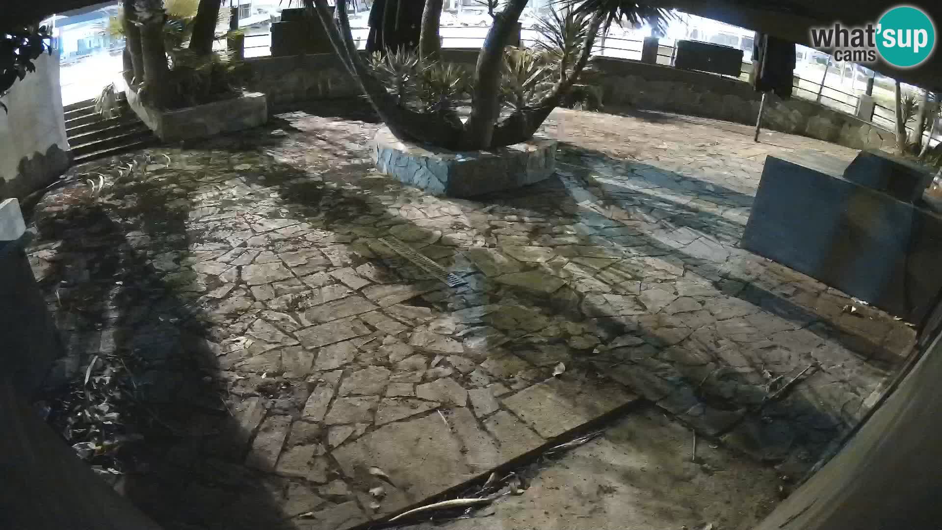 Lloret de Mar – Dr. Döner