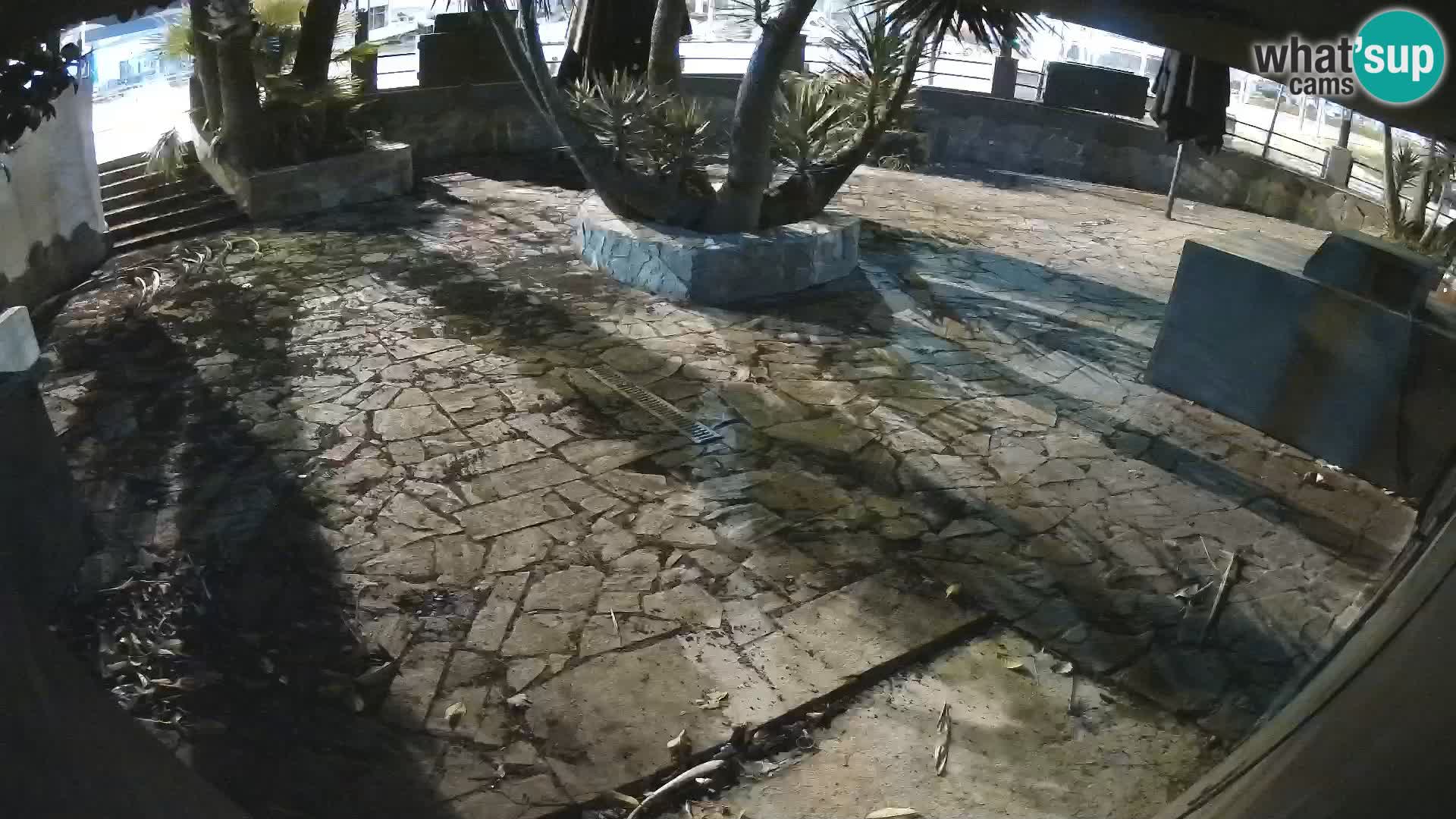 Lloret de Mar – Dr. Döner