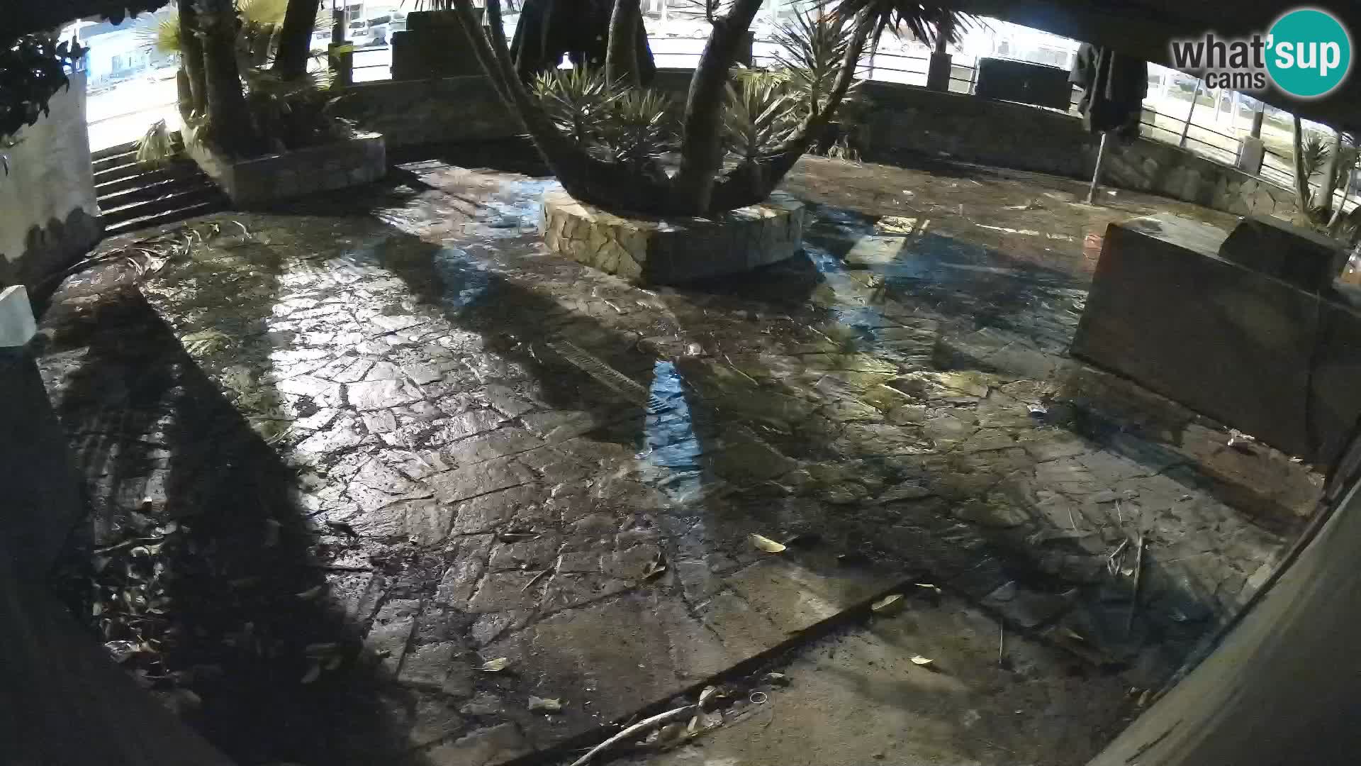 Lloret de Mar – Dr. Döner