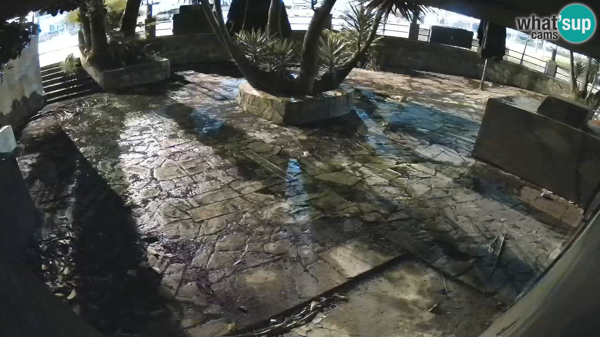 Lloret de Mar – Dr. Döner