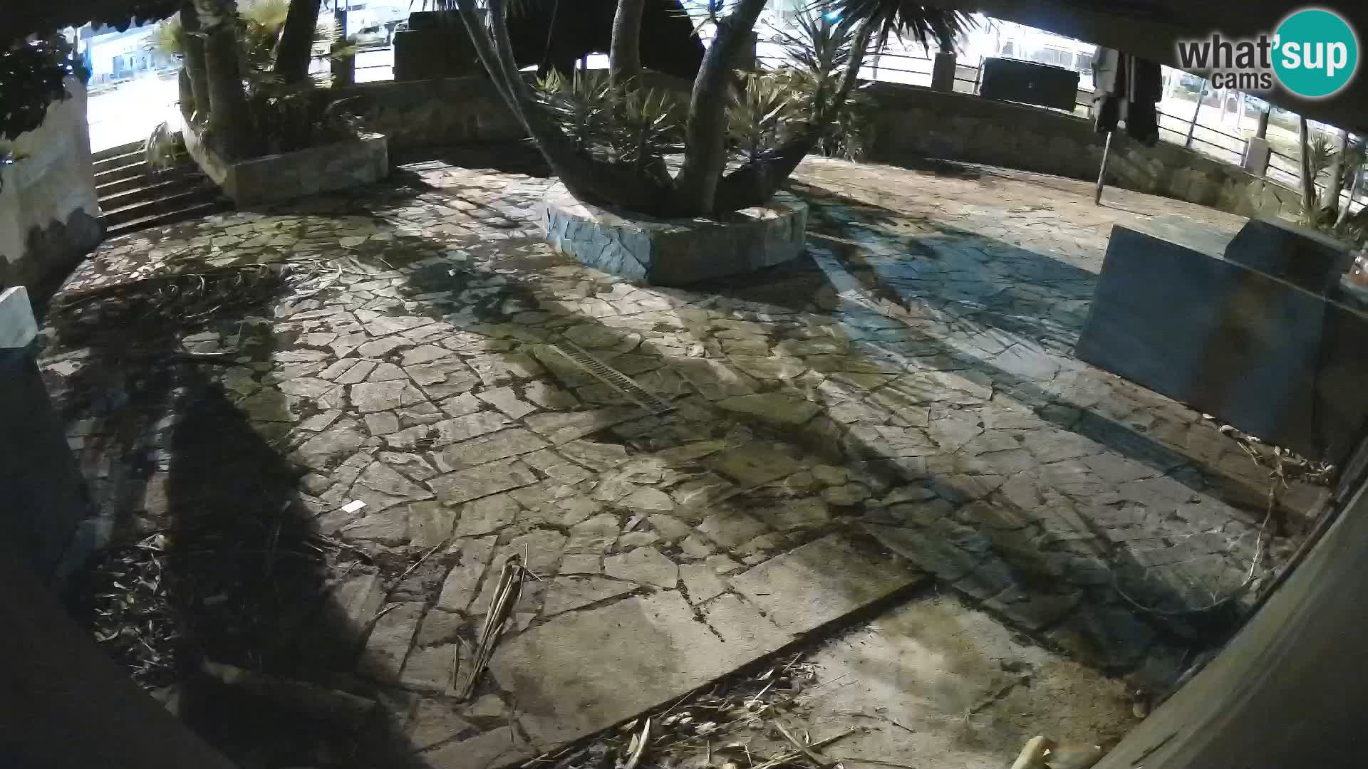 Lloret de Mar – Dr. Döner