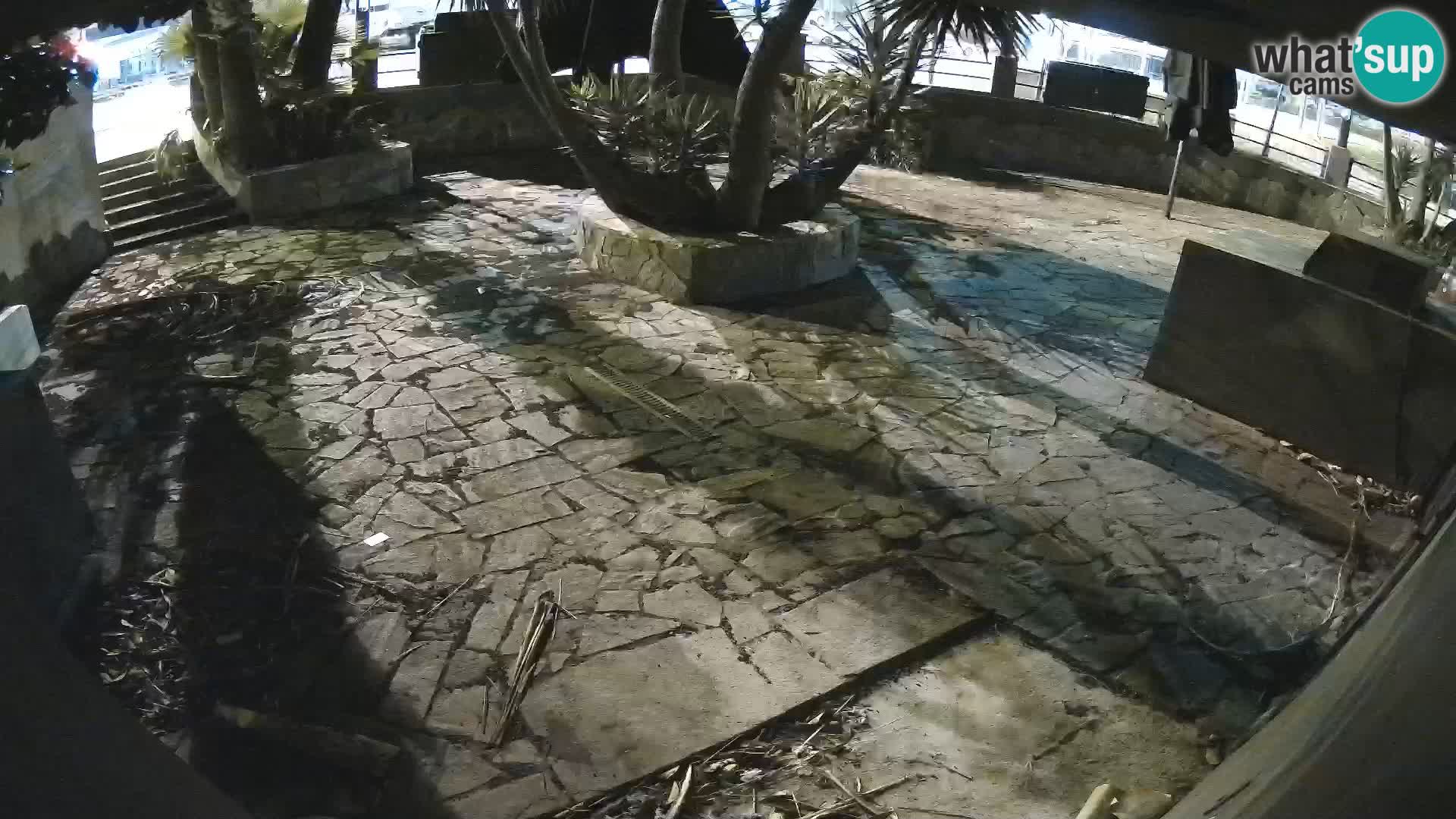 Lloret de Mar – Dr. Döner