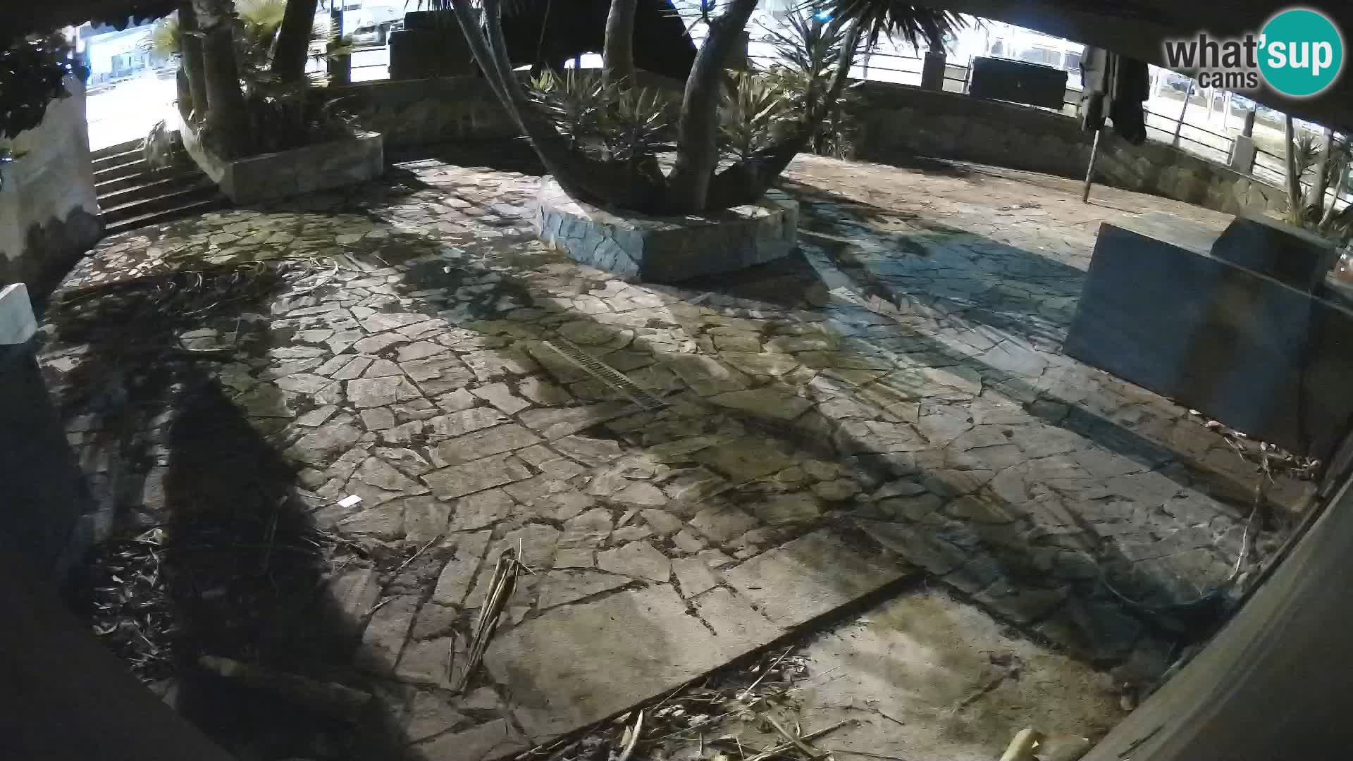 Lloret de Mar – Dr. Döner