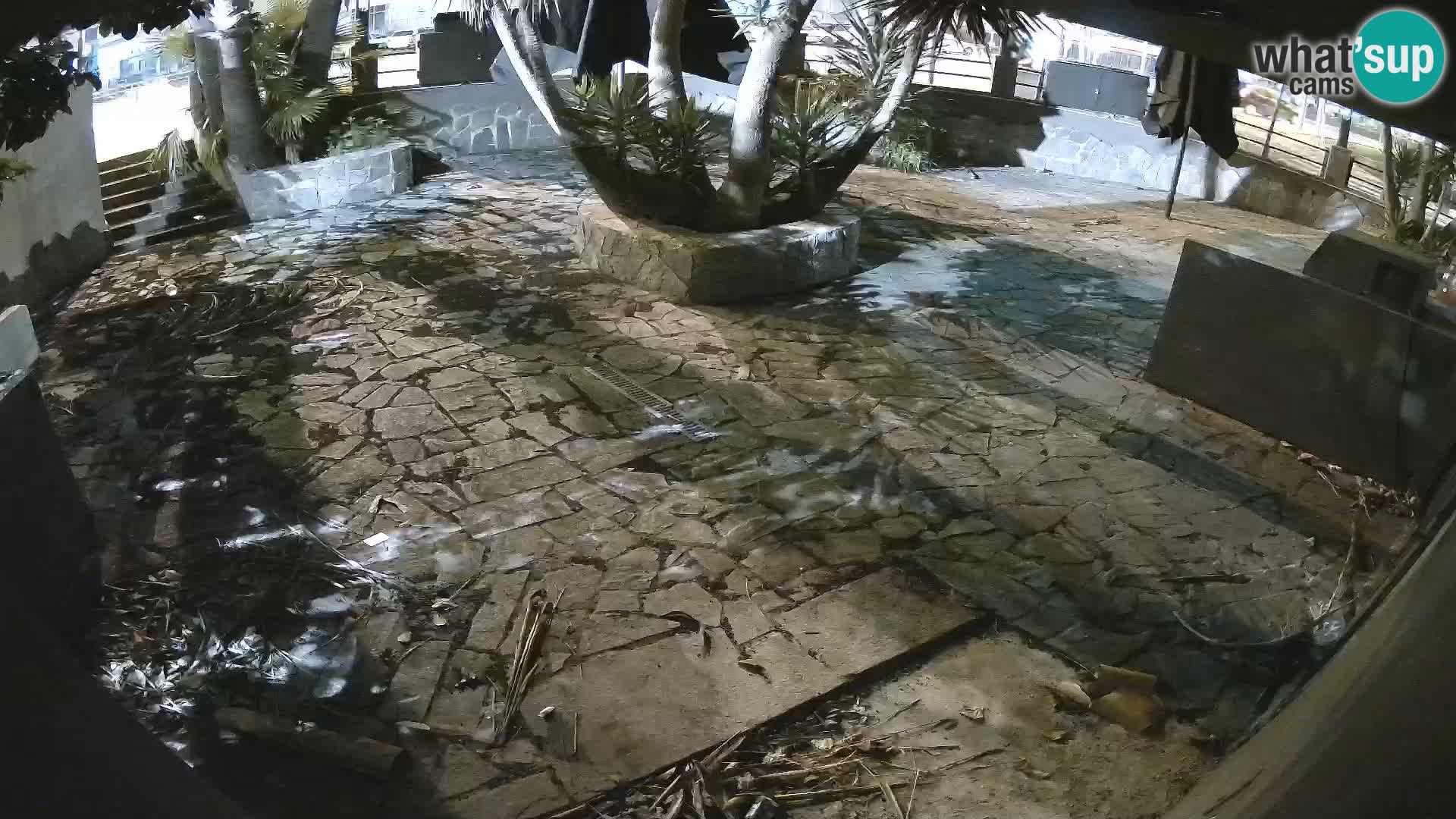 Lloret de Mar – Dr. Döner