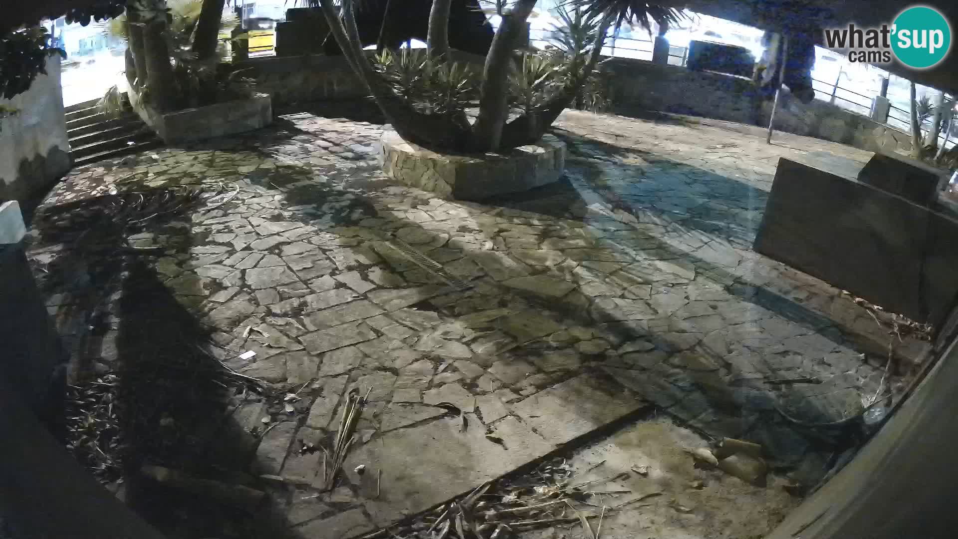 Lloret de Mar – Dr. Döner