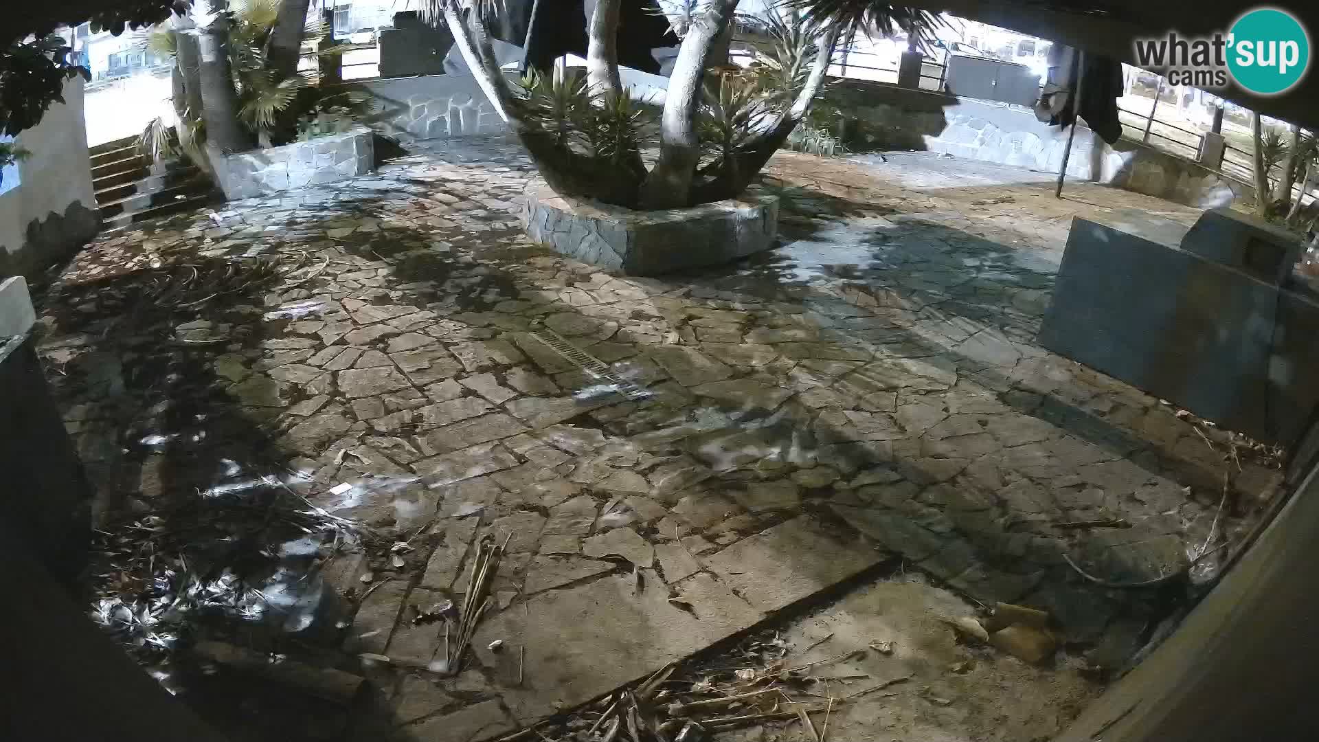 Lloret de Mar – Dr. Döner