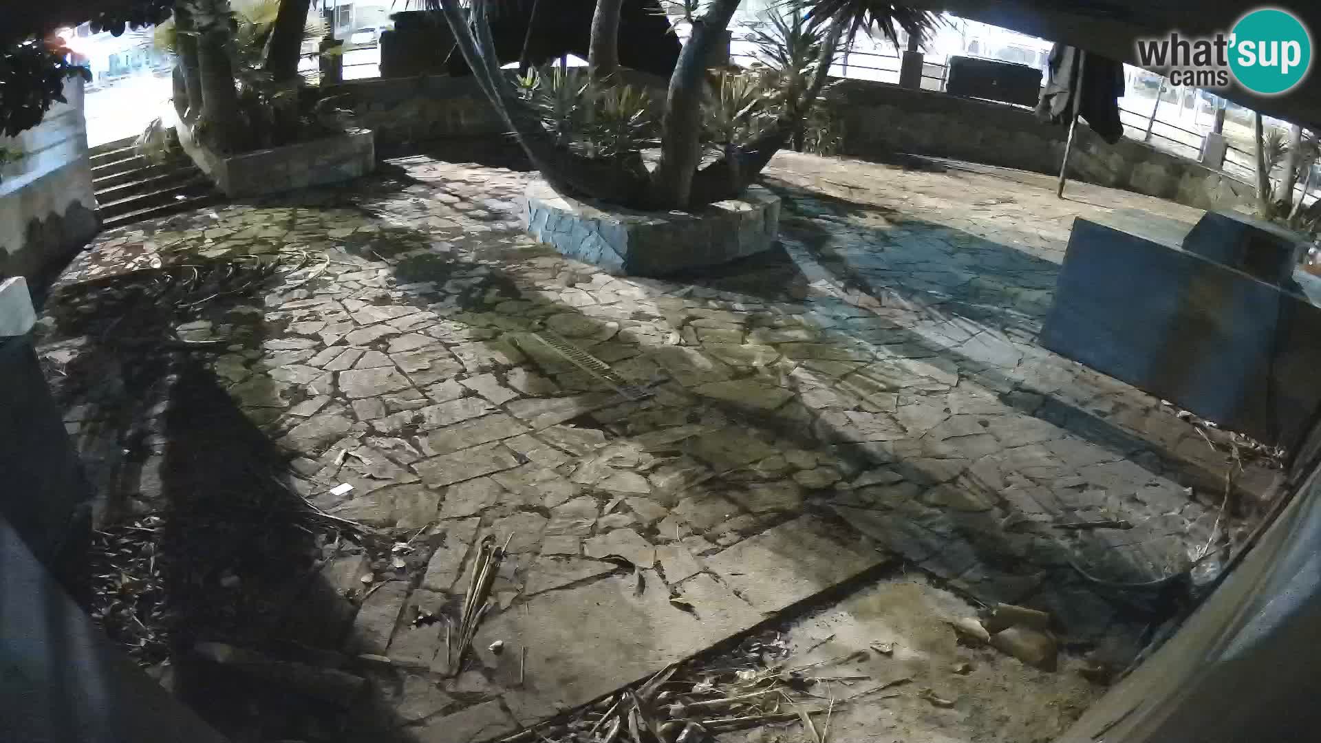 Lloret de Mar – Dr. Döner