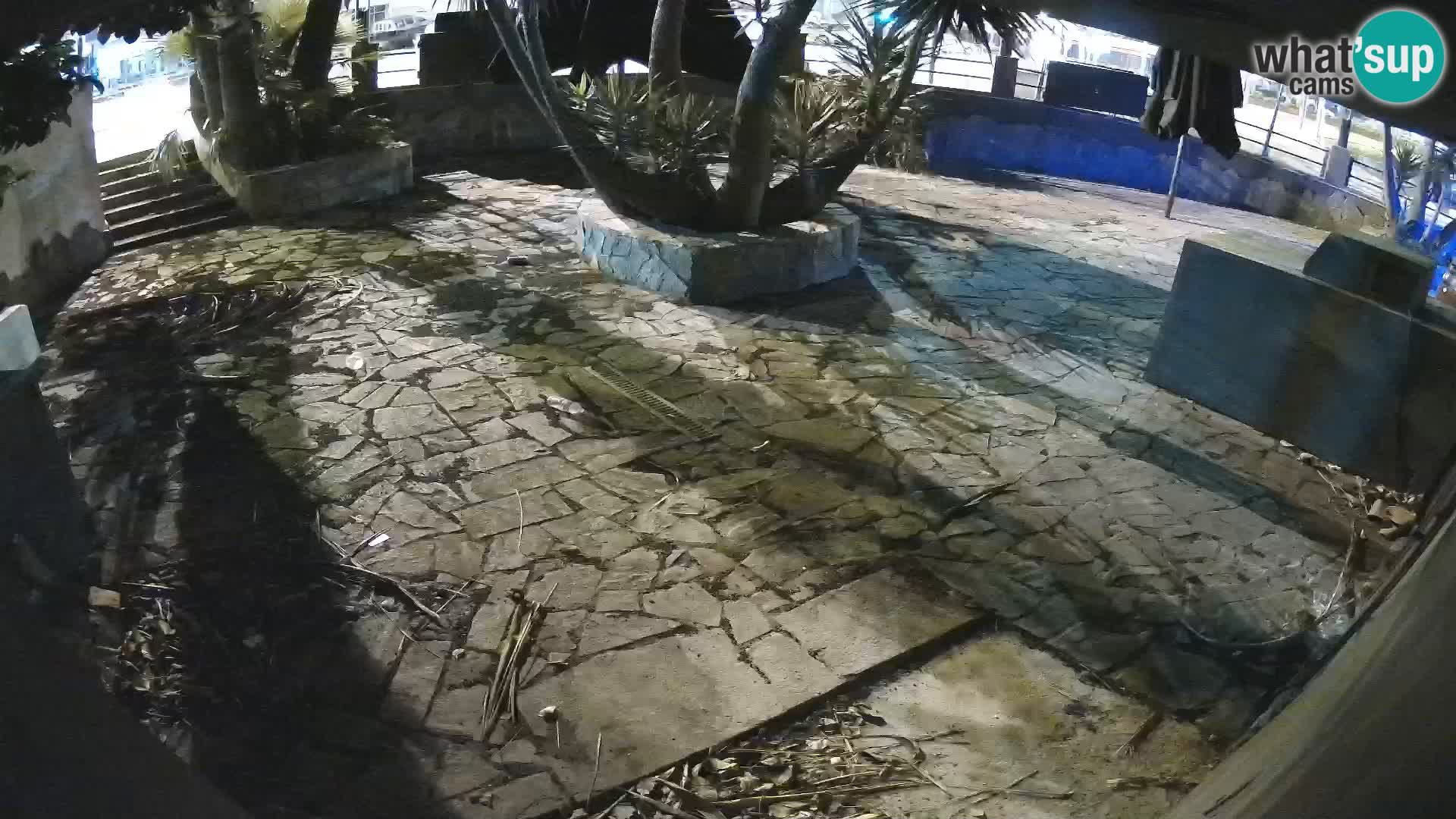 Lloret de Mar – Dr. Döner