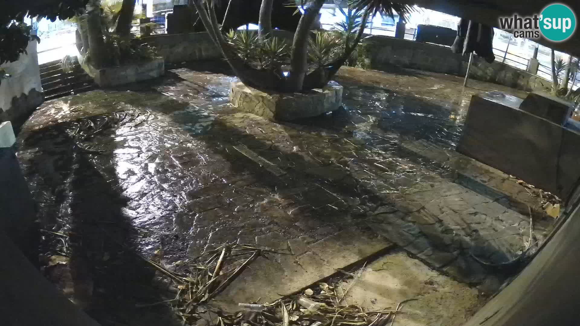 Lloret de Mar – Dr. Döner