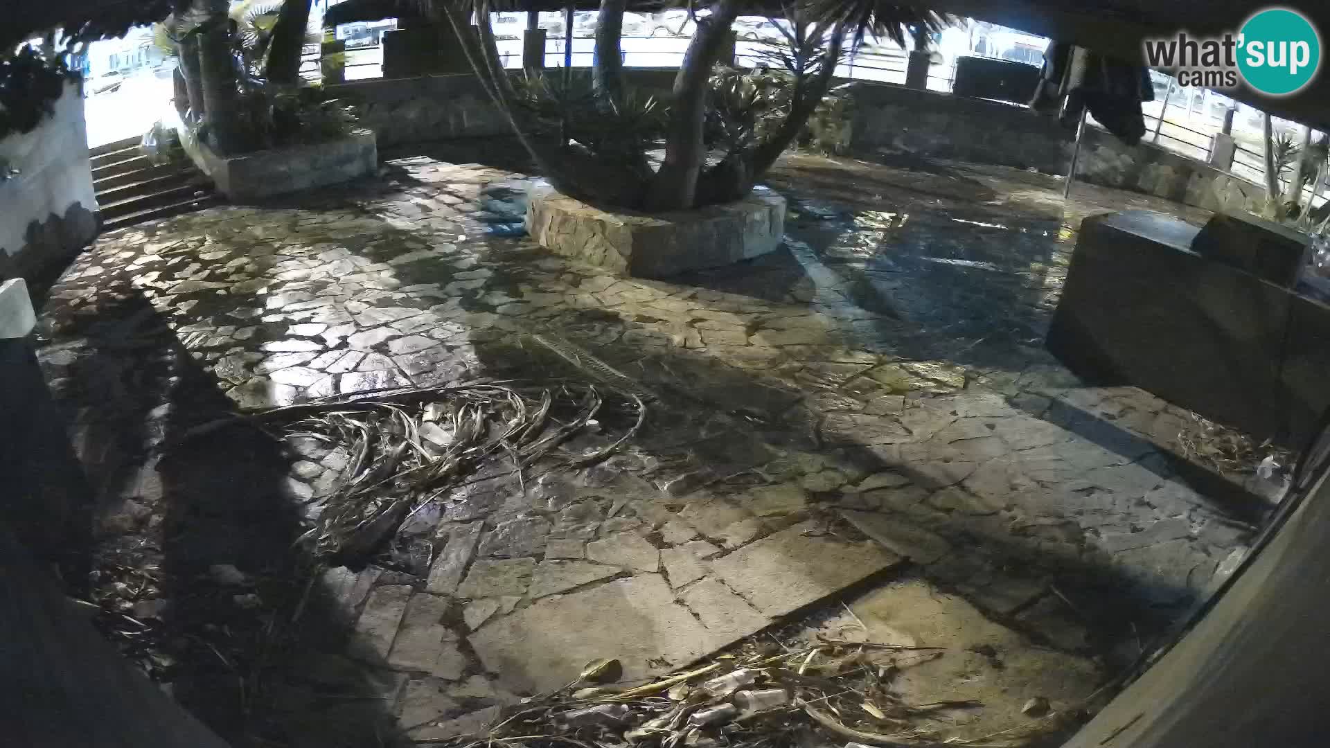 Lloret de Mar – Dr. Döner