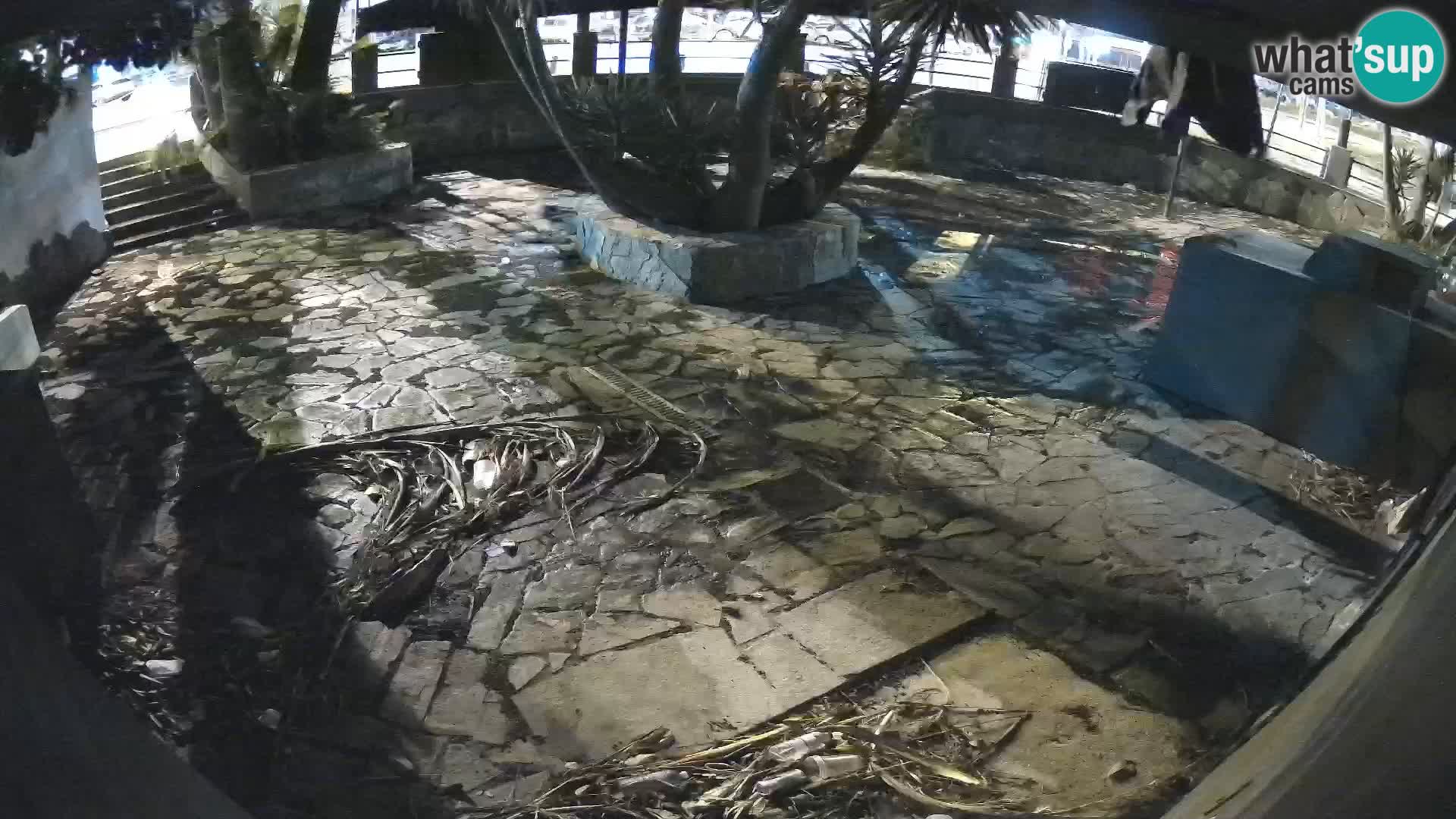 Lloret de Mar – Dr. Döner