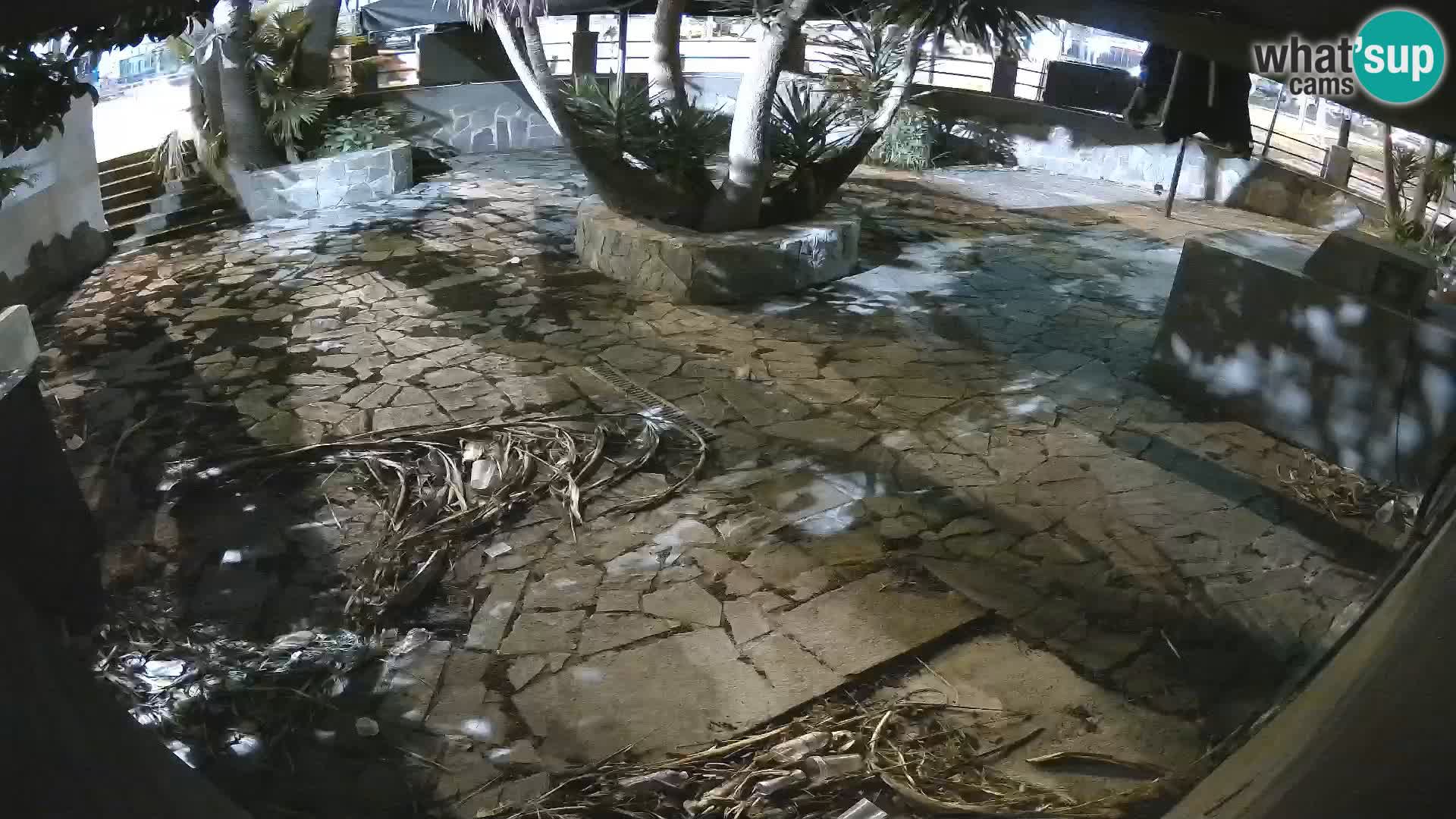 Lloret de Mar – Dr. Döner